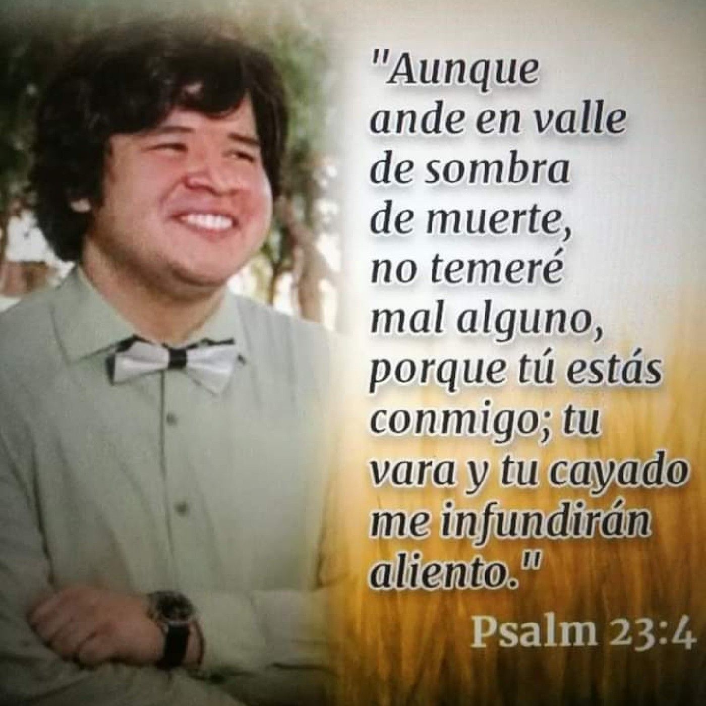 La palabra verdadera del evangelio podcast artwork