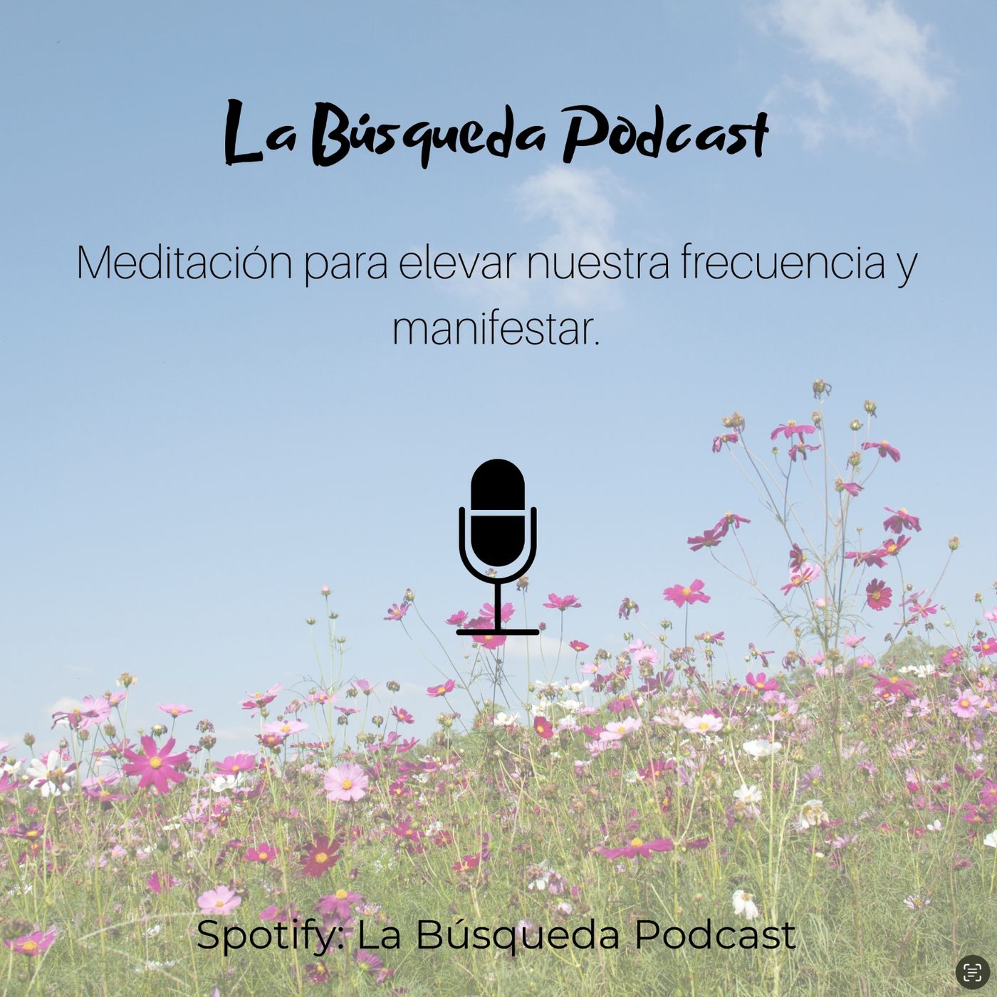 Eleva tu frecuencia y manifiesta.