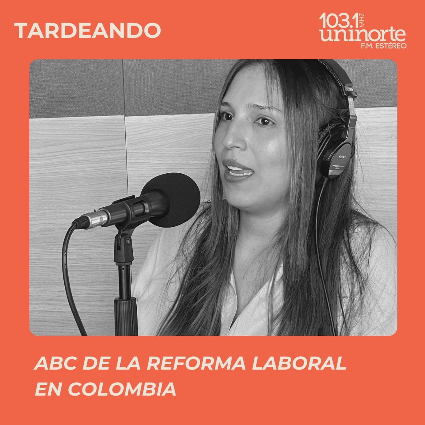ABC de la Reforma Laboral en Colombia :: INVITADA: Melissa Anibal López episode artwork