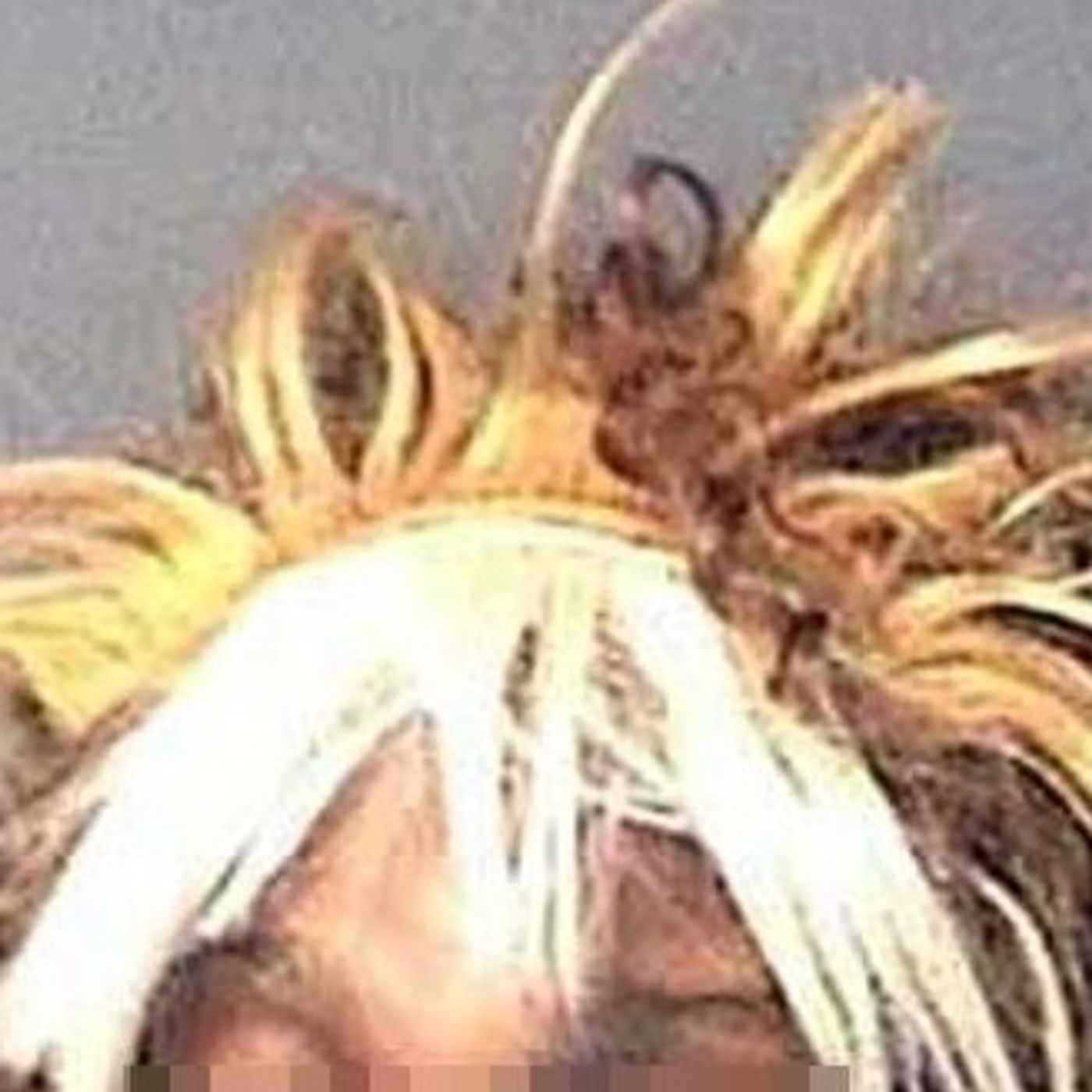 Walmart Weaves and Music episode artwork
