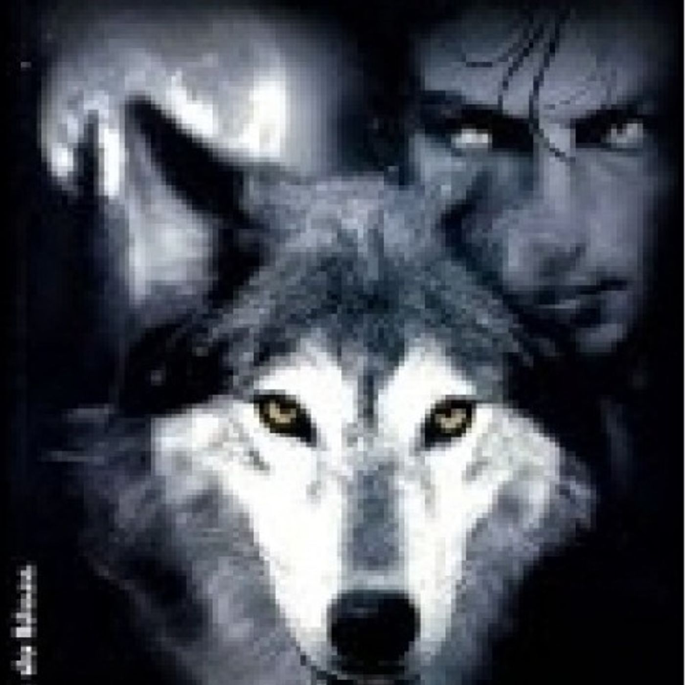 (Resumen) La noche del lobo - Alice Borchardt