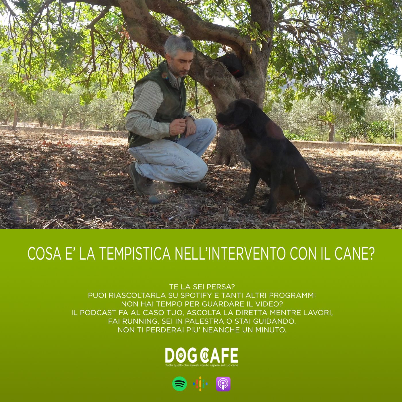 Dog Cafe Podcast