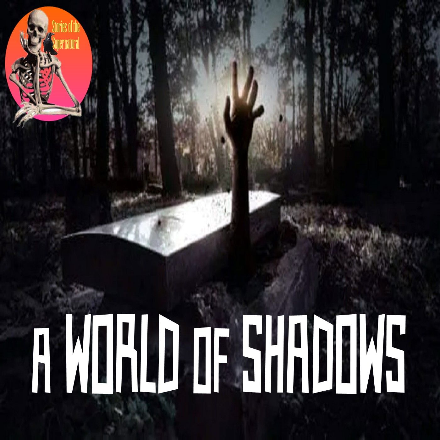 A World of Shadows | Interview with Pamela K. Kinney | Podcast