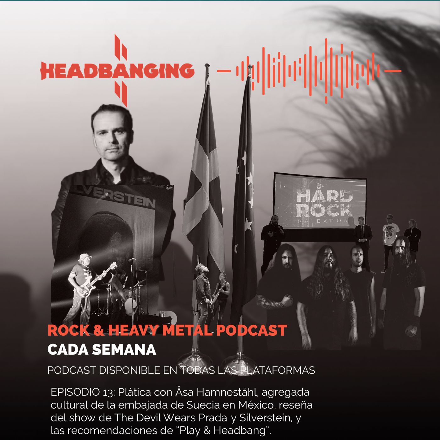 #13 - Åsa Hamneståhl (Embassy of Sweden in Mexico)