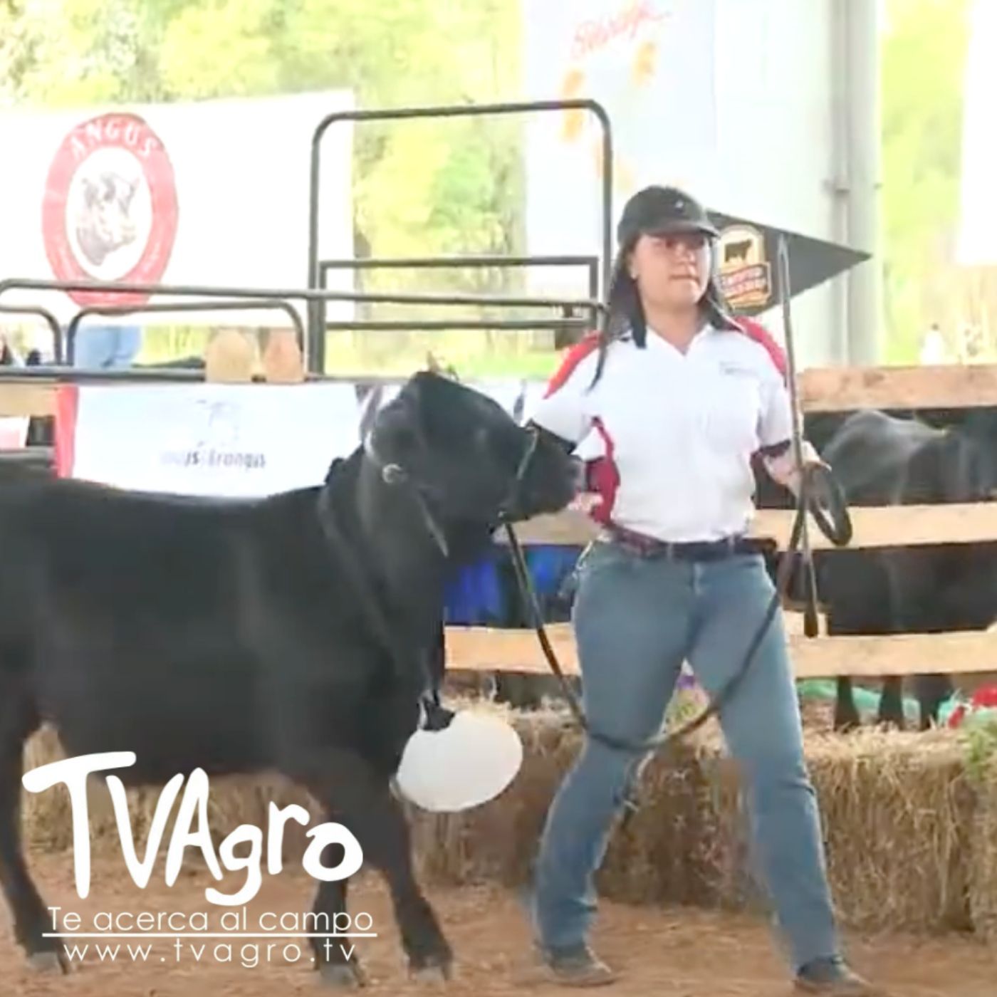 TV AGRO