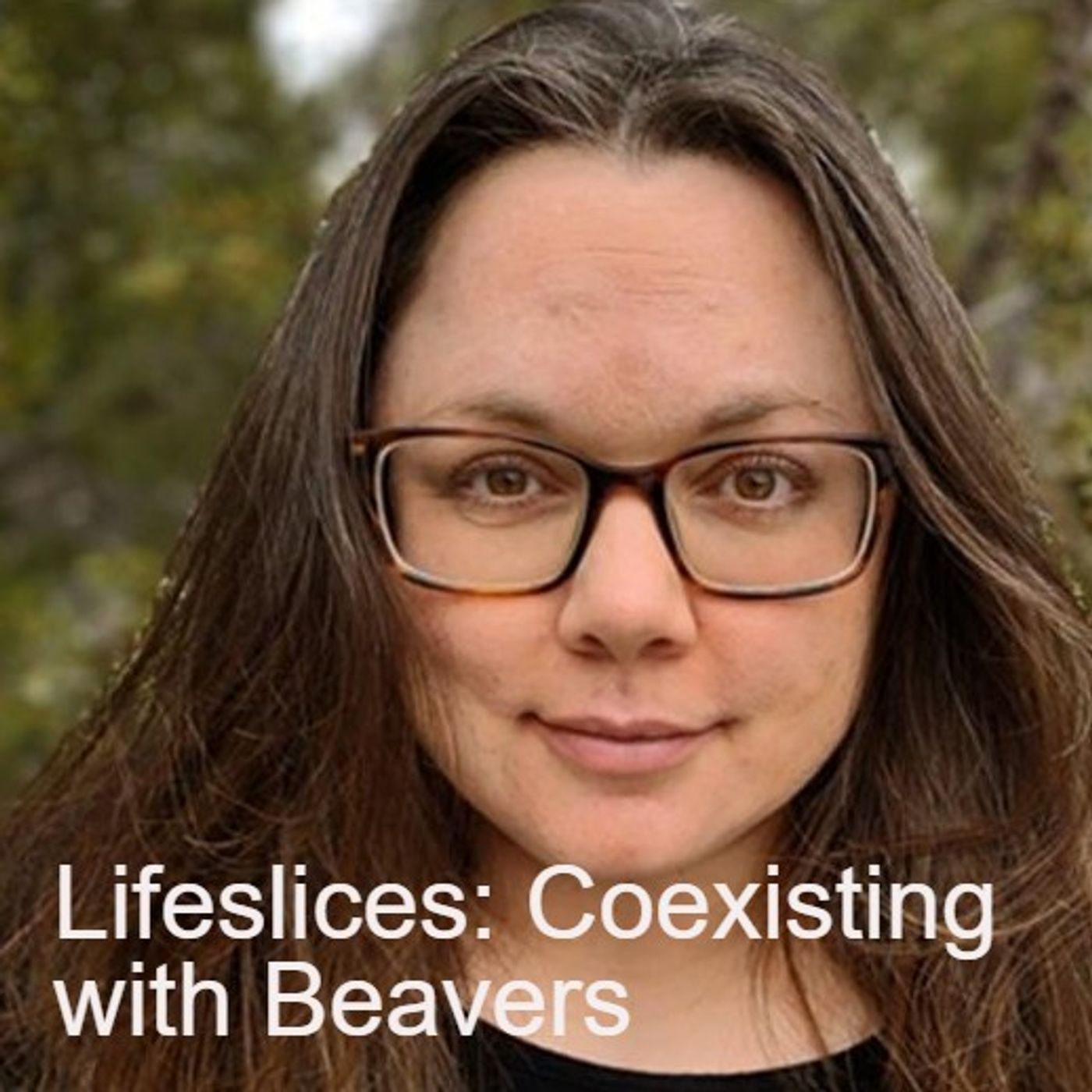 Lifeslices with Steve Fisher