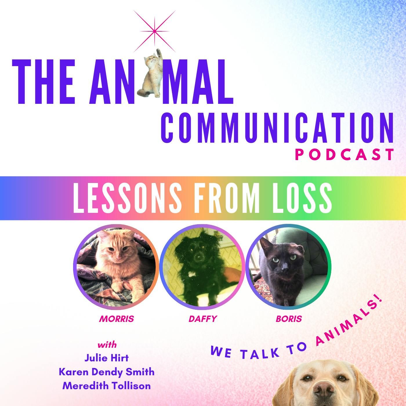 Lessons from Loss