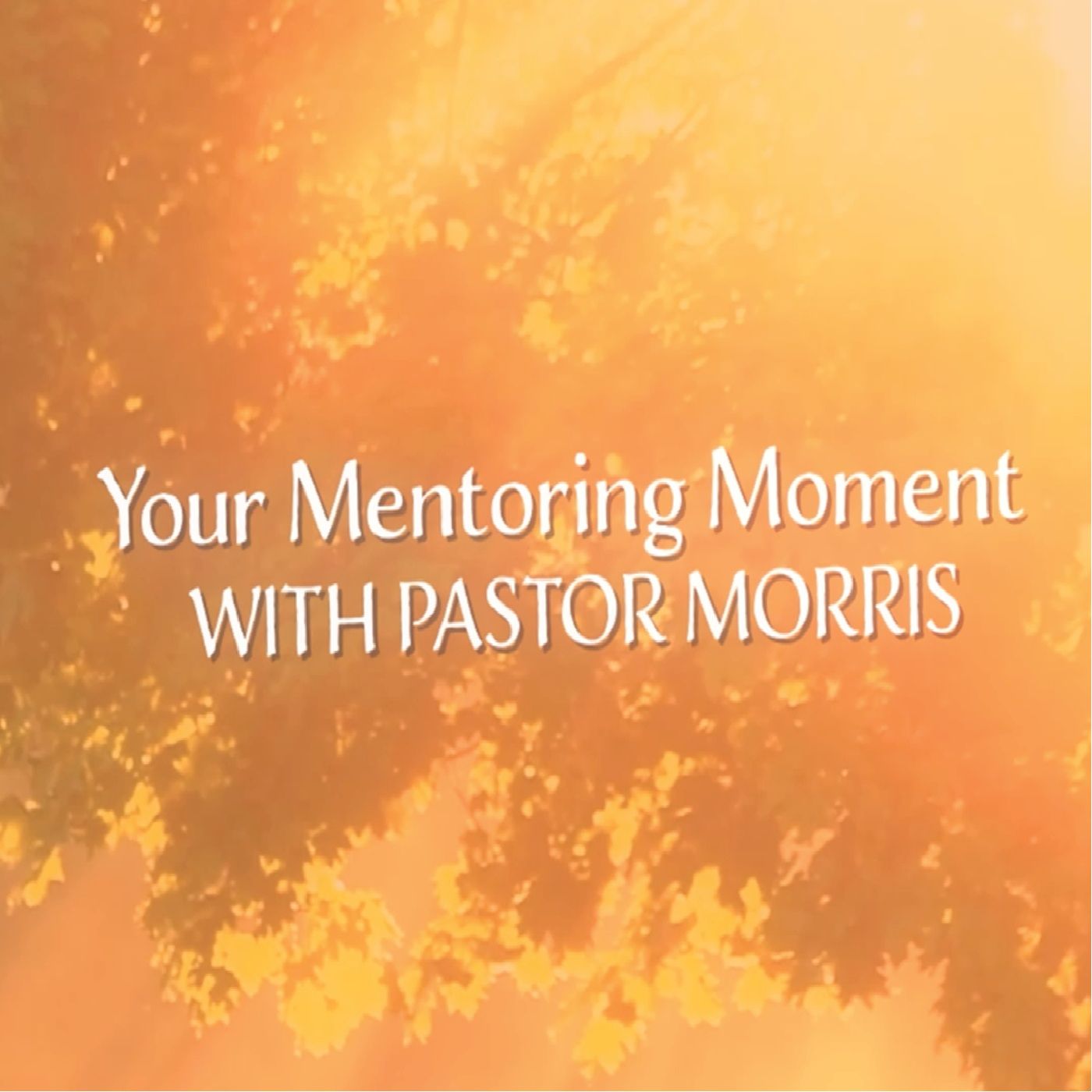 Your Mentoring Moment