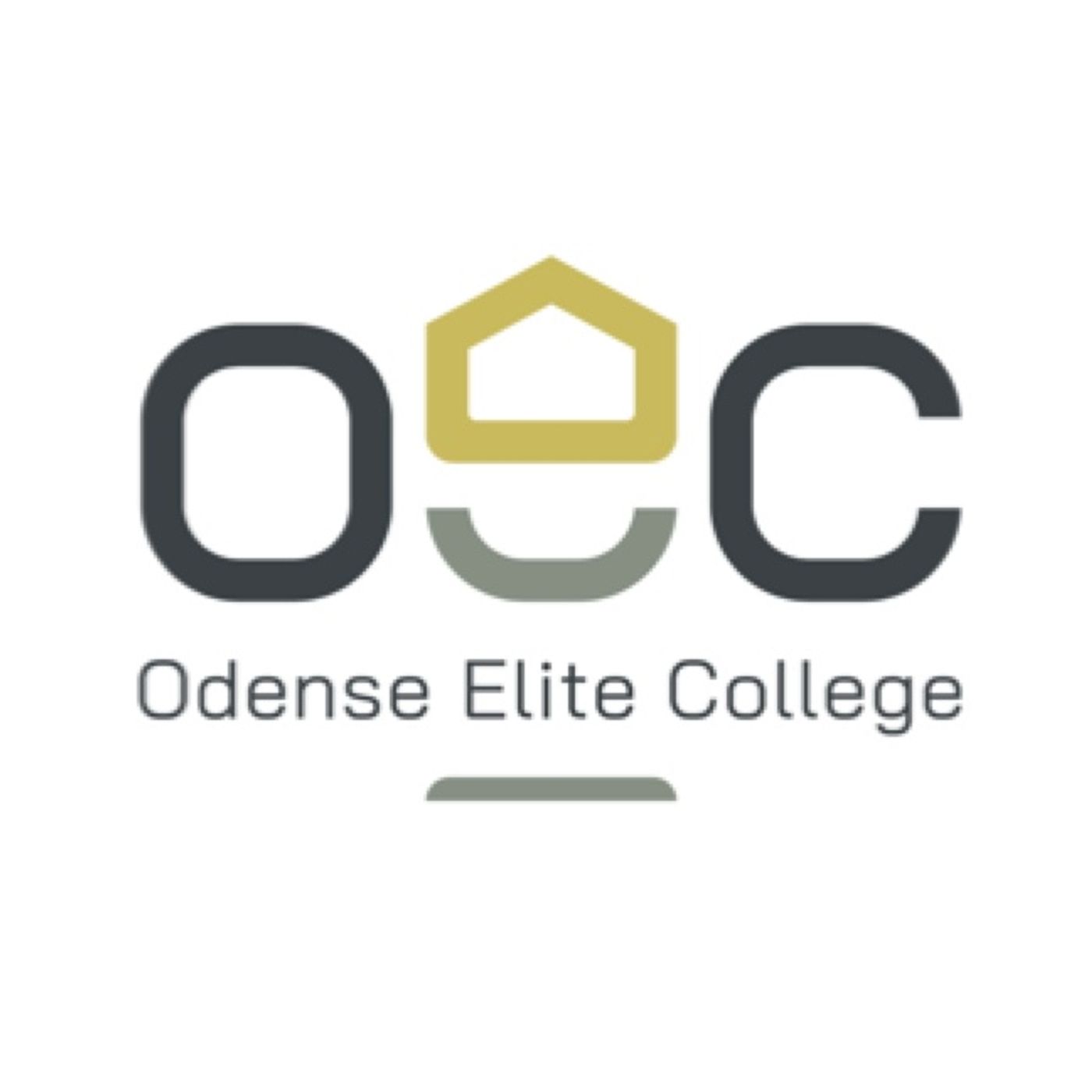 Mellem Linjerne - Odense Elite College af Andreas Jørensen / OEC