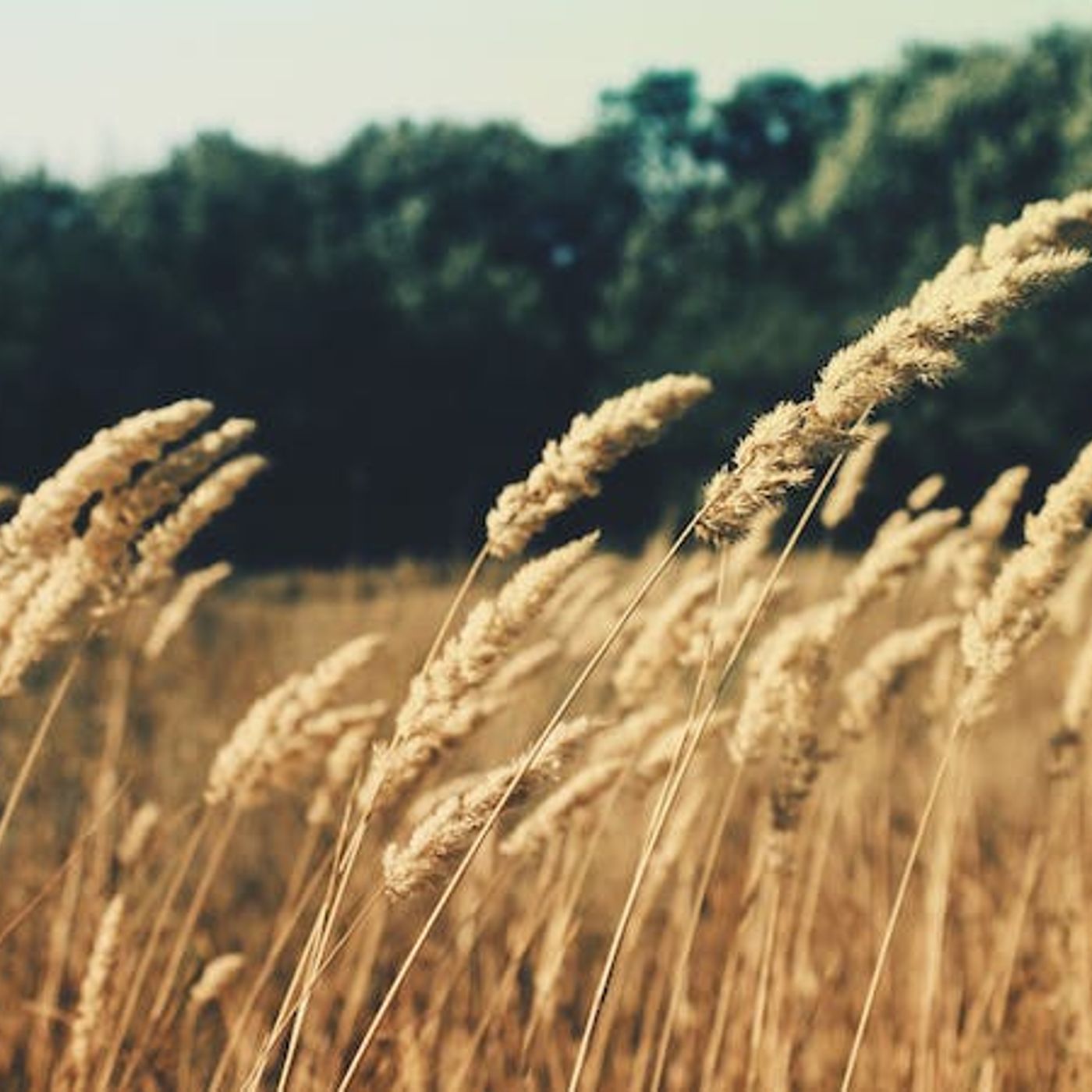 How Do We Pray in the Spirit?