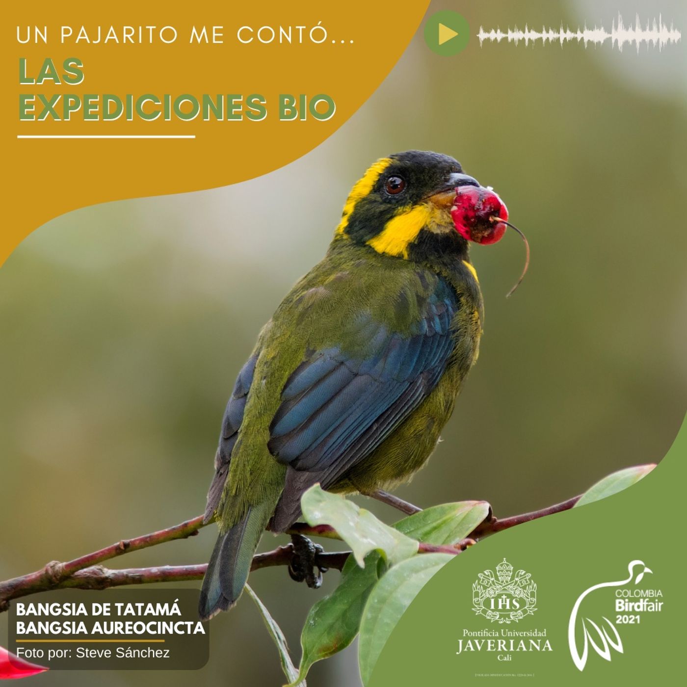 Expediciones BIO