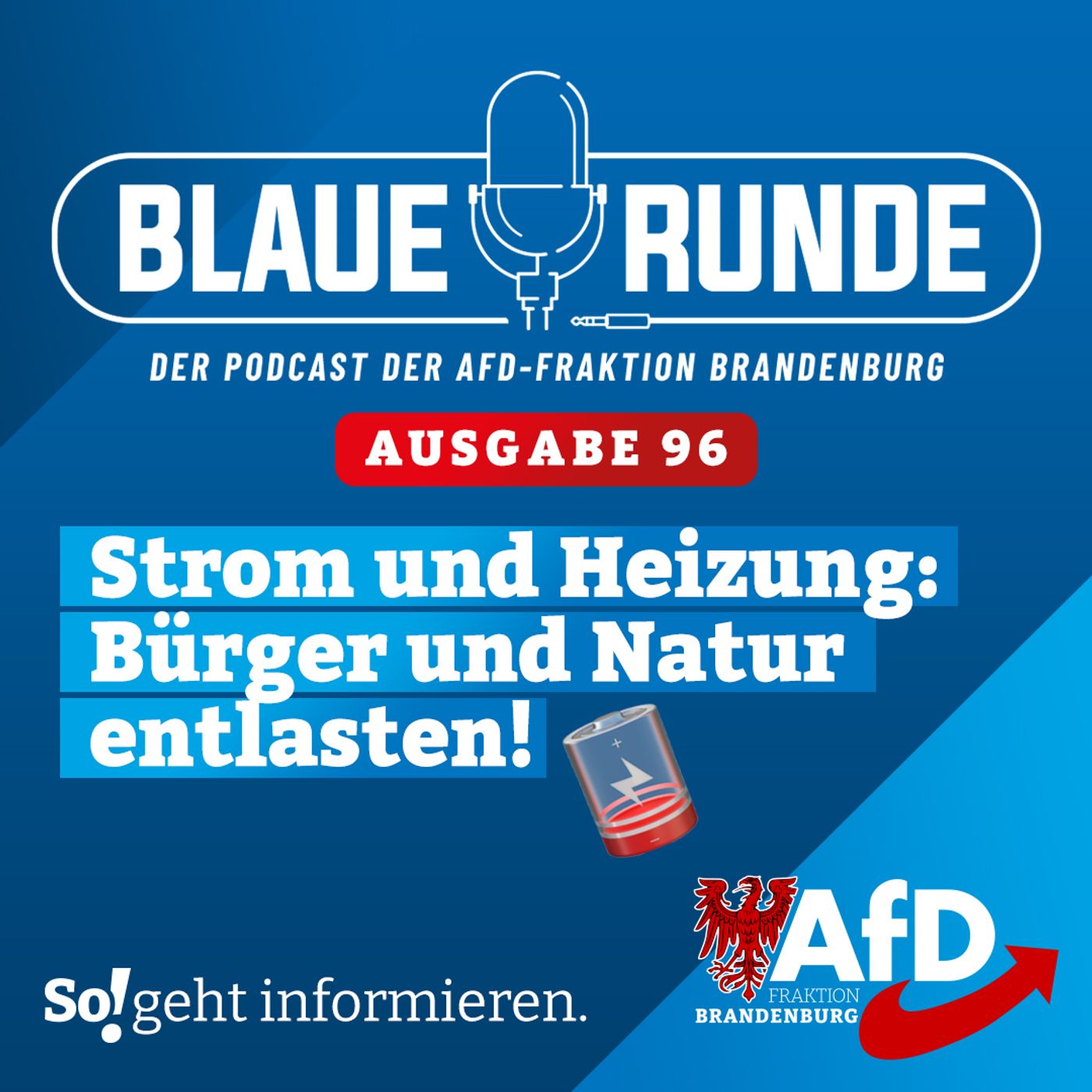 Strom und Heizung: Bürger und Natur entlasten! | Die Blaue Runde, Ausgabe 96/23 vom 22. November 2023 episode artwork