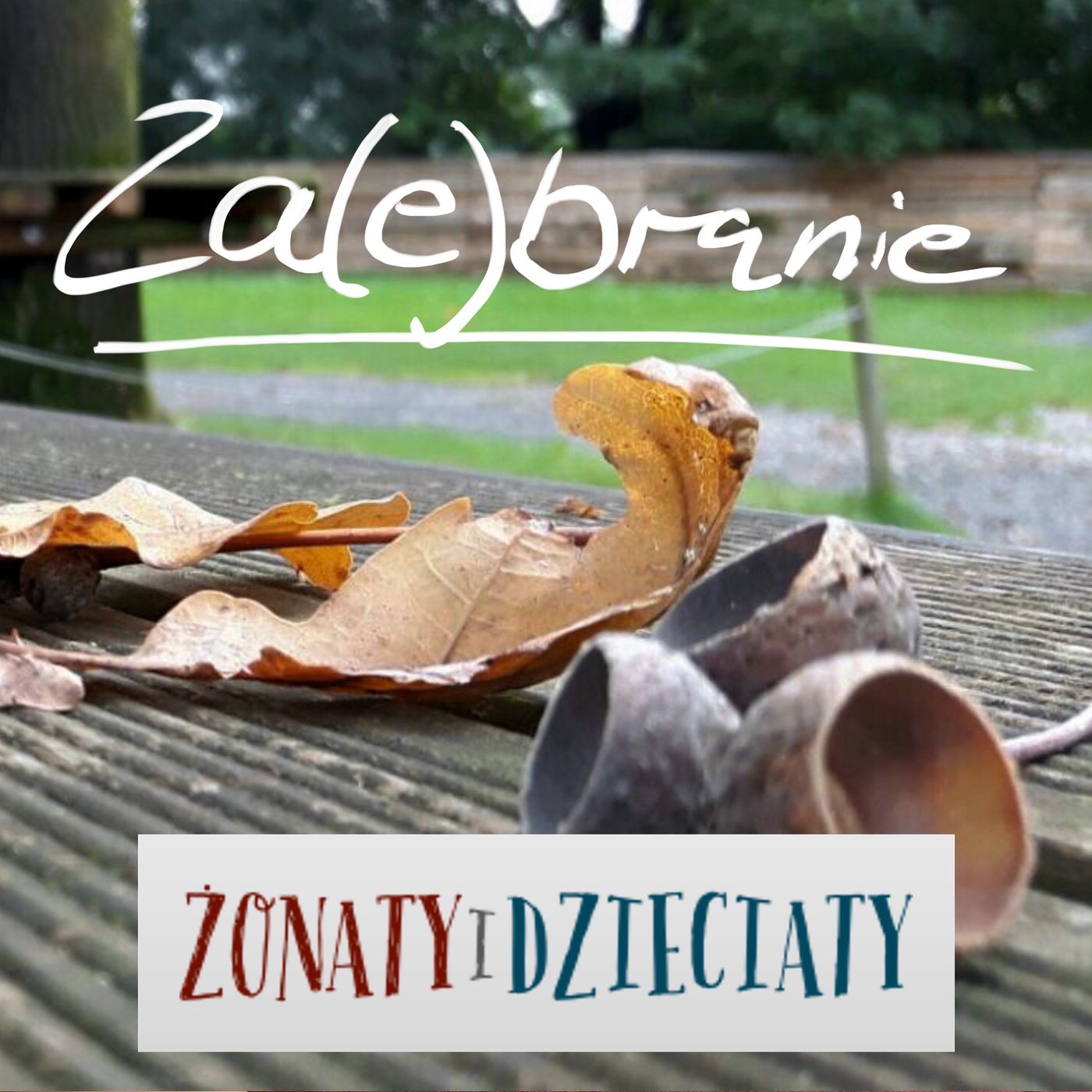 Za(e)branie