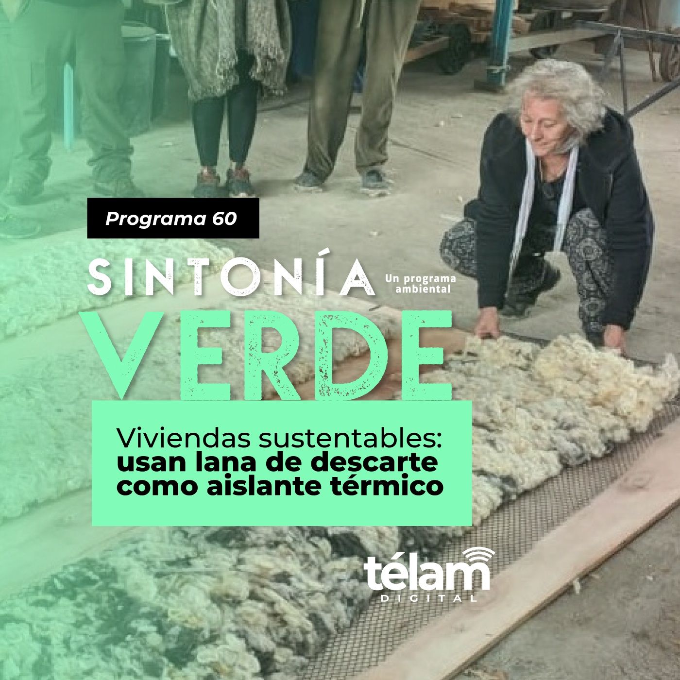 cover of episode Viviendas sustentables usan lana como aislante térmico