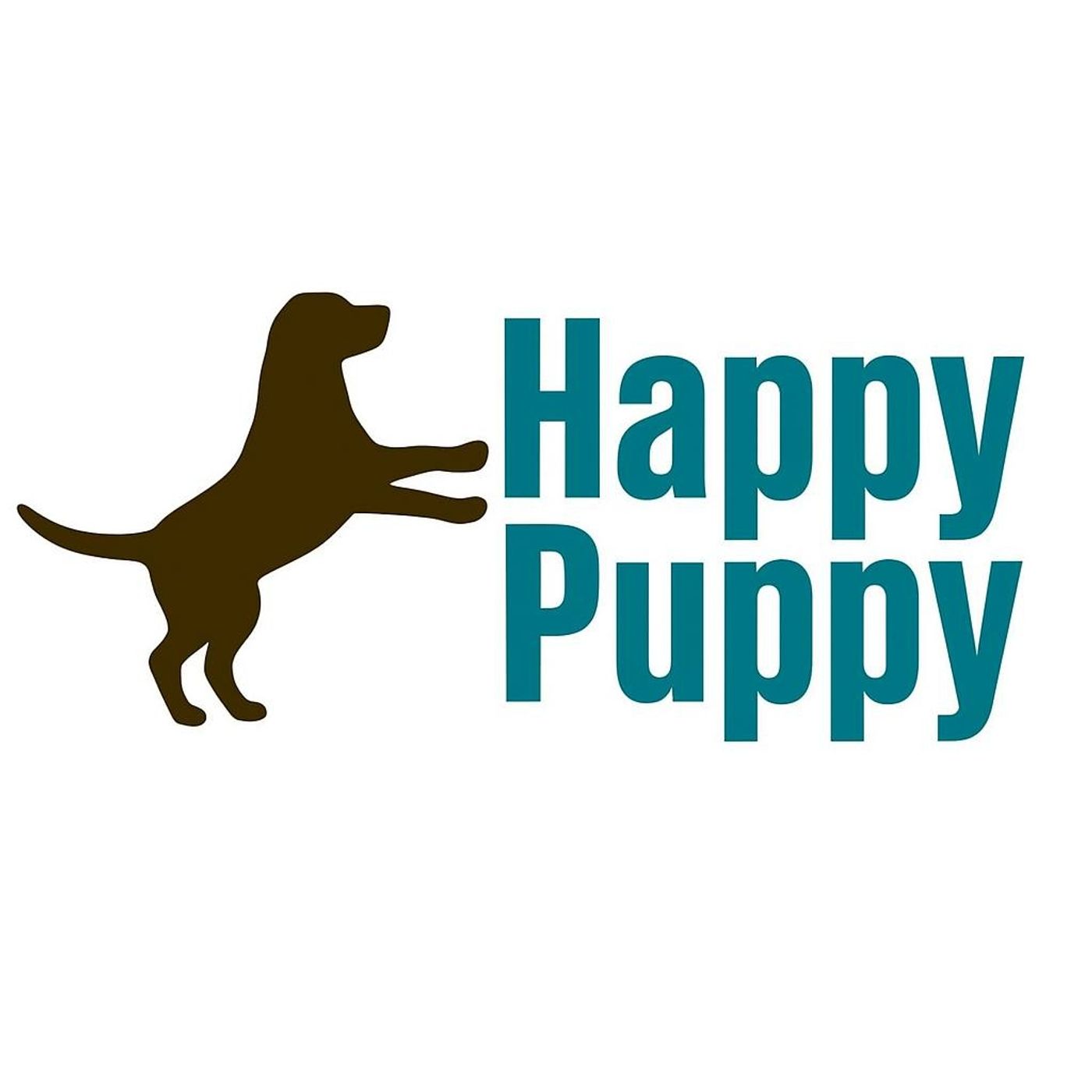 Premium Dog Daycare in Naperville