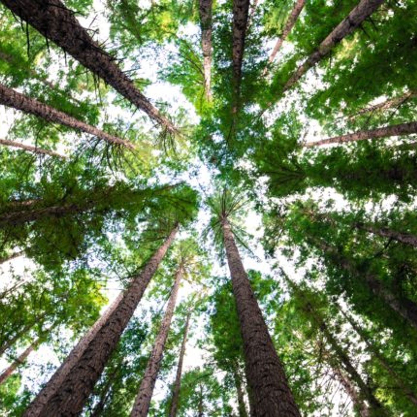 Filastrocche e Racconti