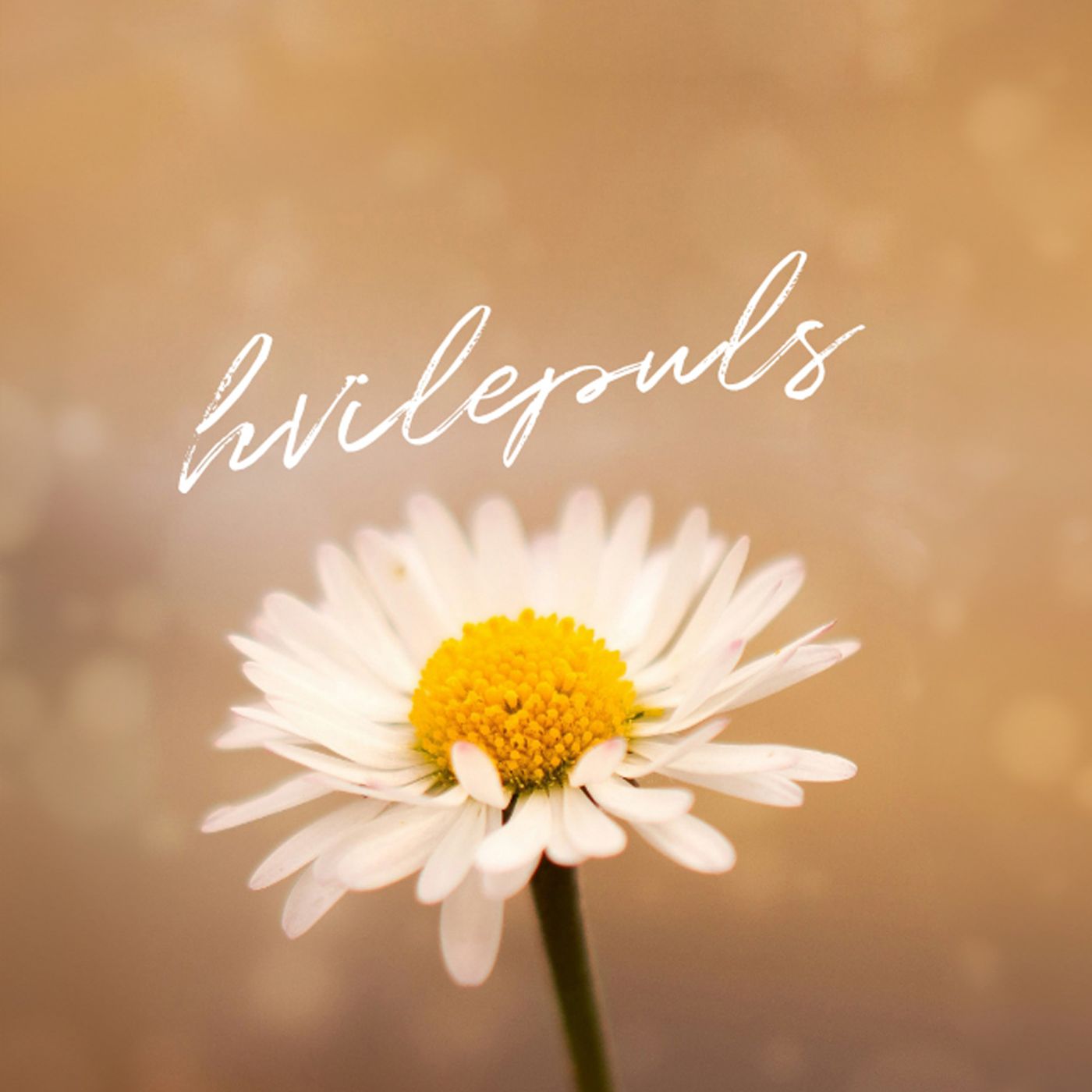 TERJE GUSTAVSEN – Hvilepuls