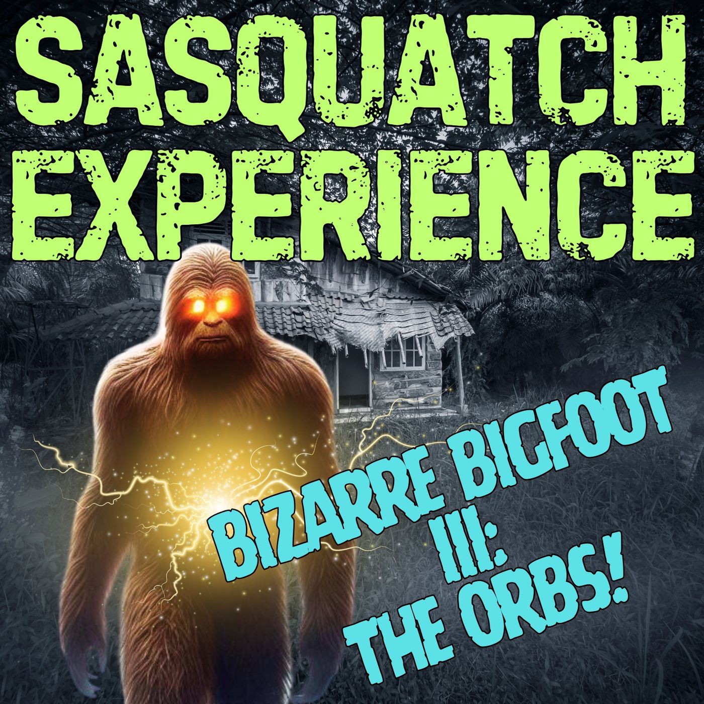 Sasquatch Experience