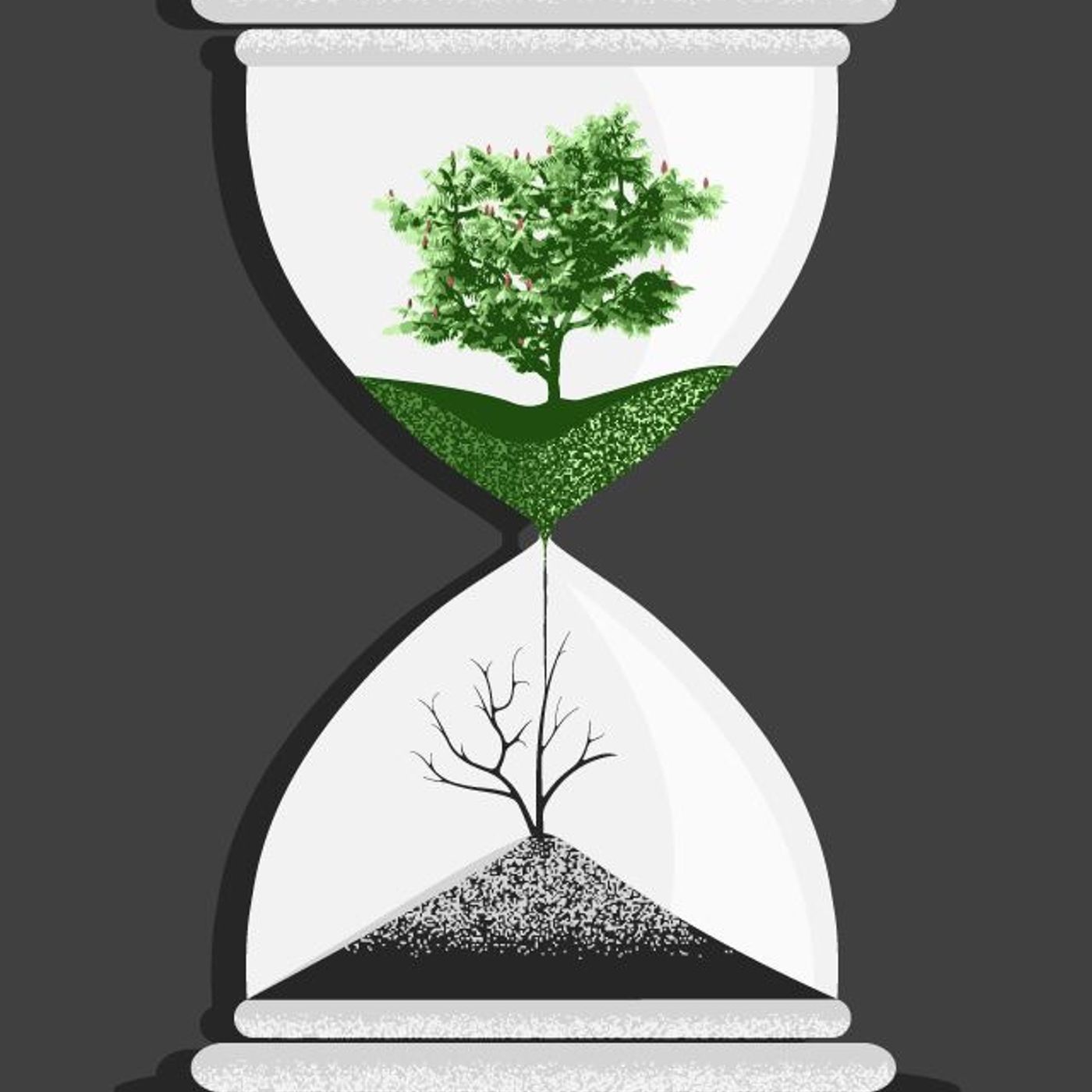 Episode 3 — Like a Tree 2