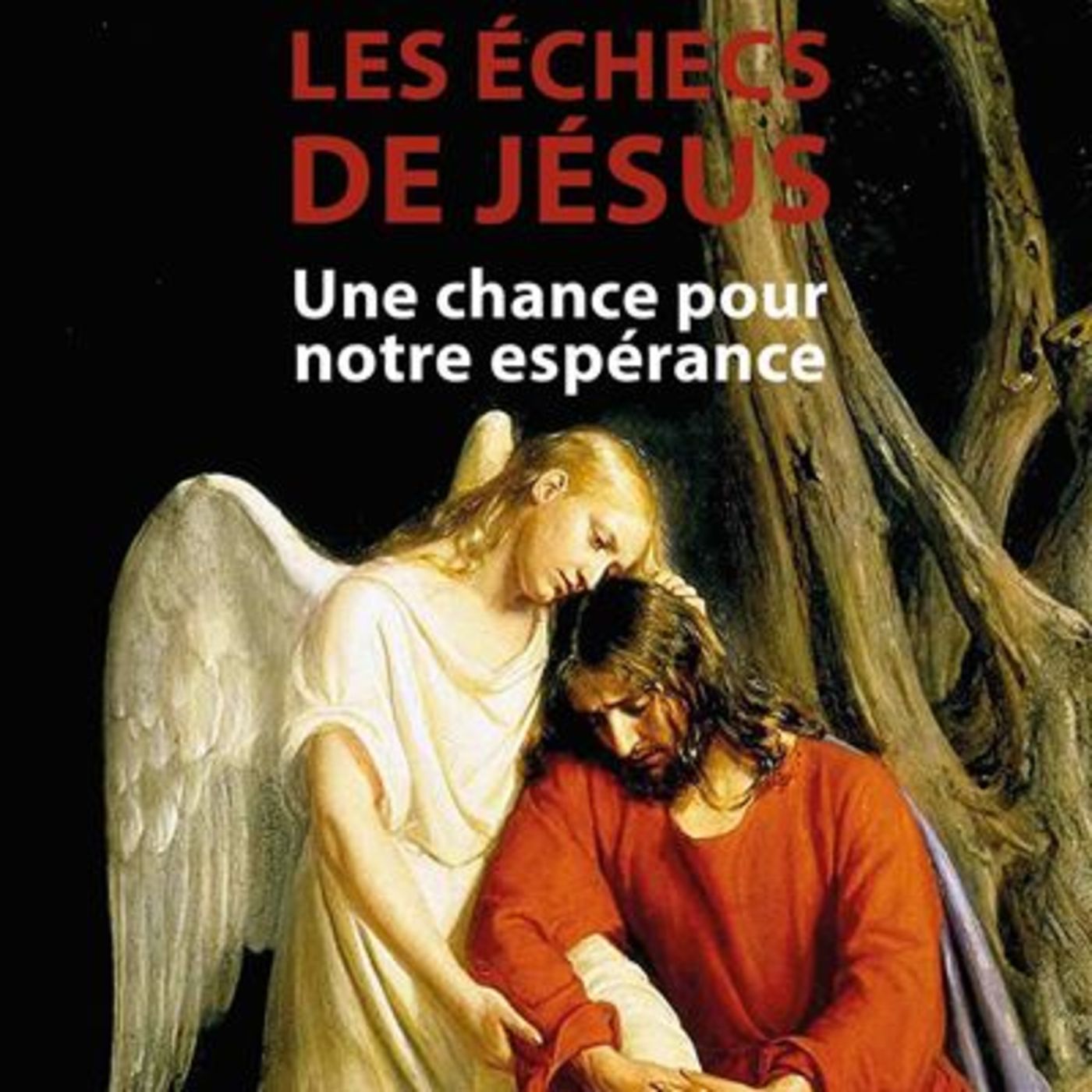 Les échecs de Jésus / Jean DRUEL