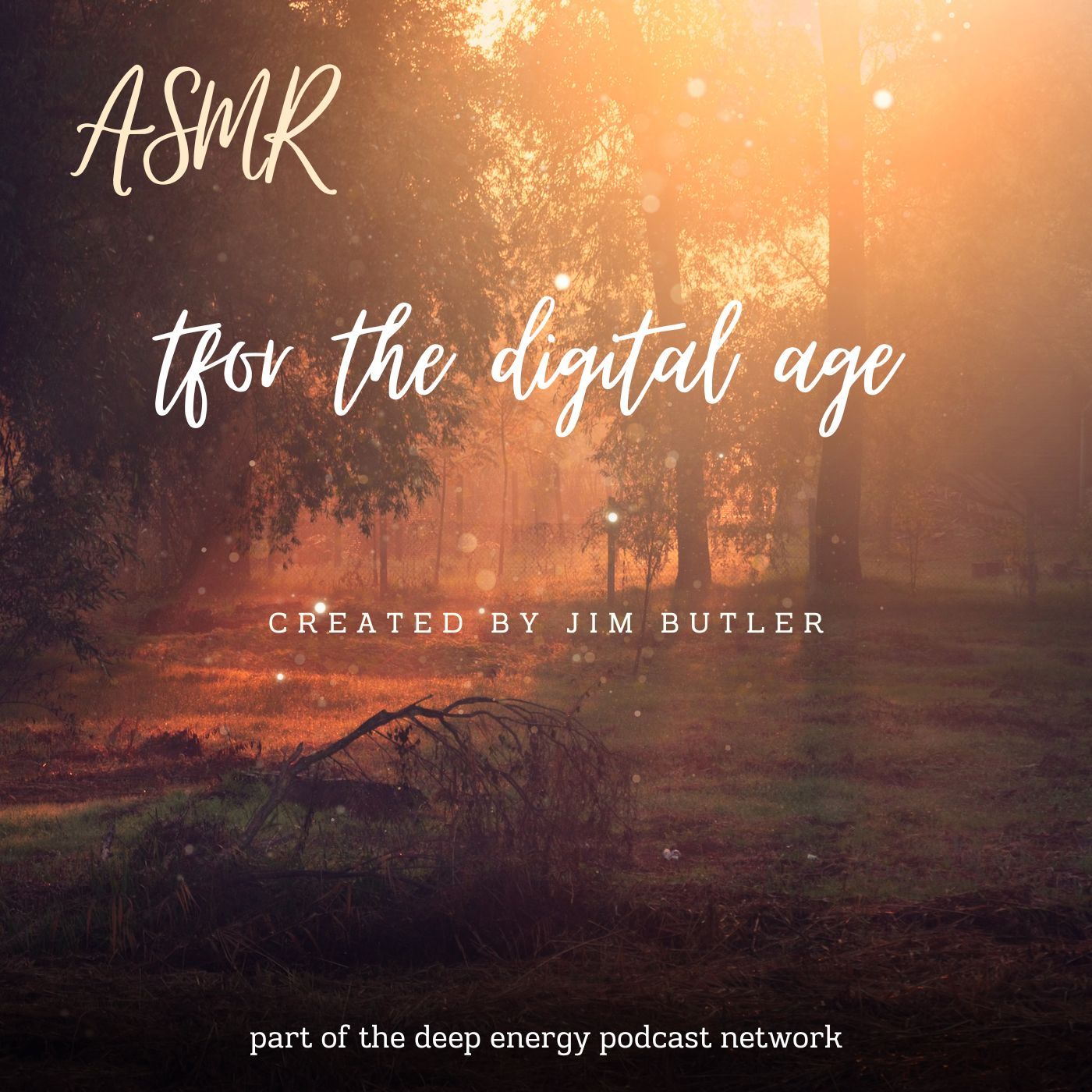ASMR for the Digital Age podcast artwork