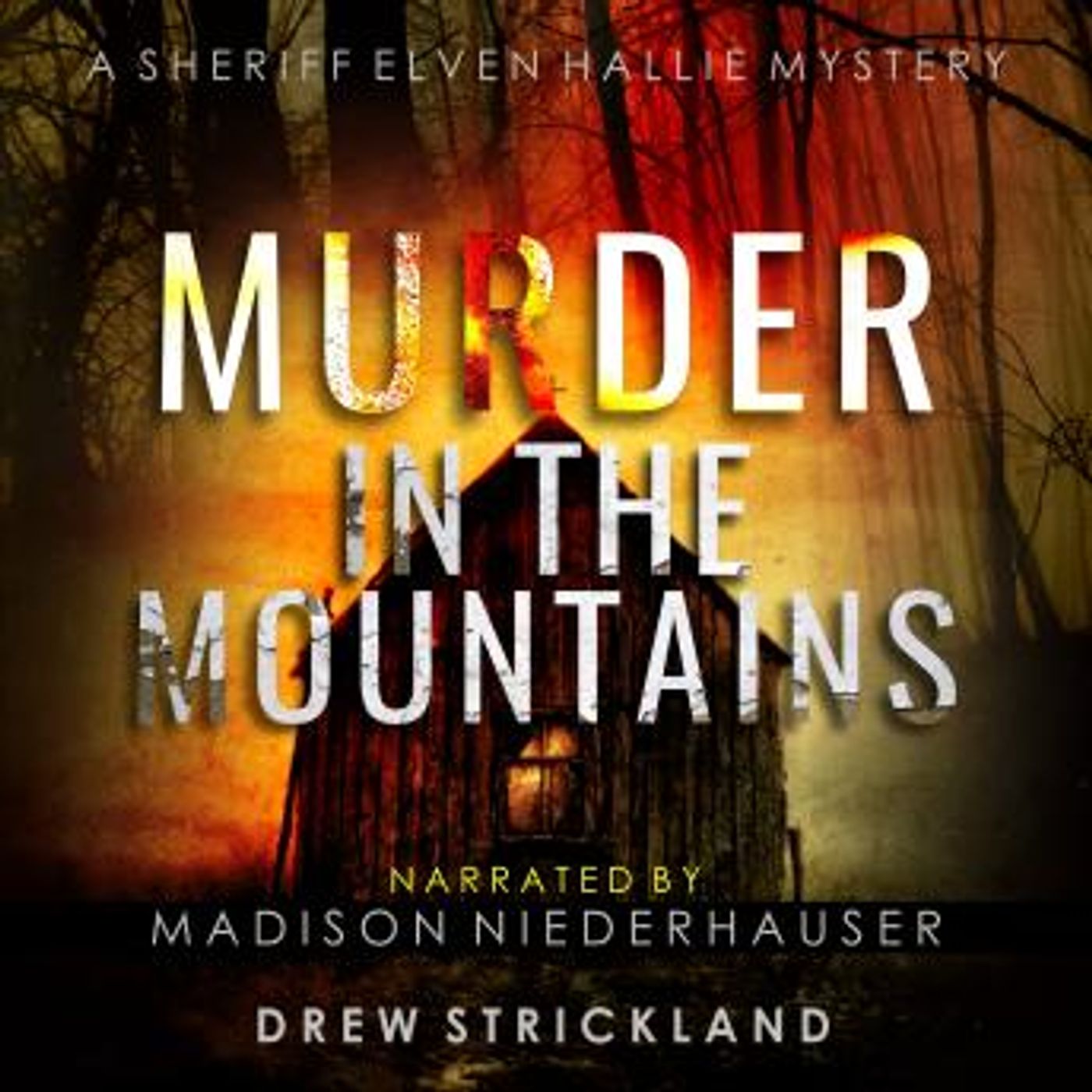 Get Best Full Audiobooks in Mystery, Thriller & Horror, Police & Detective