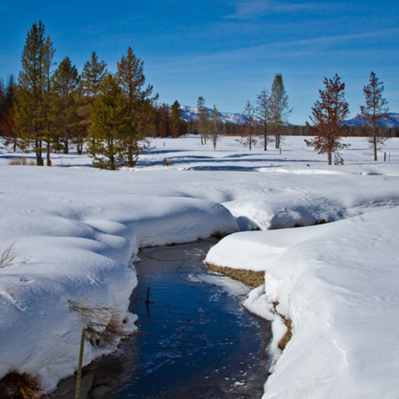 Idaho's New State Water Plan Adopted Without Legislative Approval episode artwork