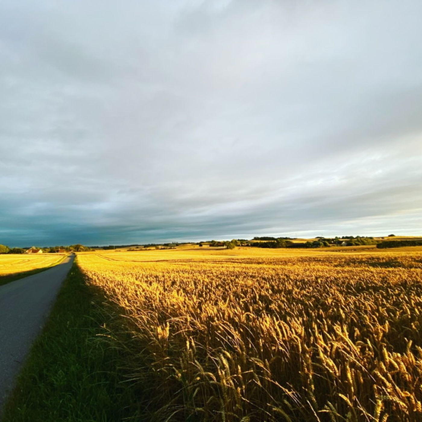 Kvantespring med vilje - en upoleret podcast omkring praktisk forandringsarbejde. af Claus Øien Ingemann
