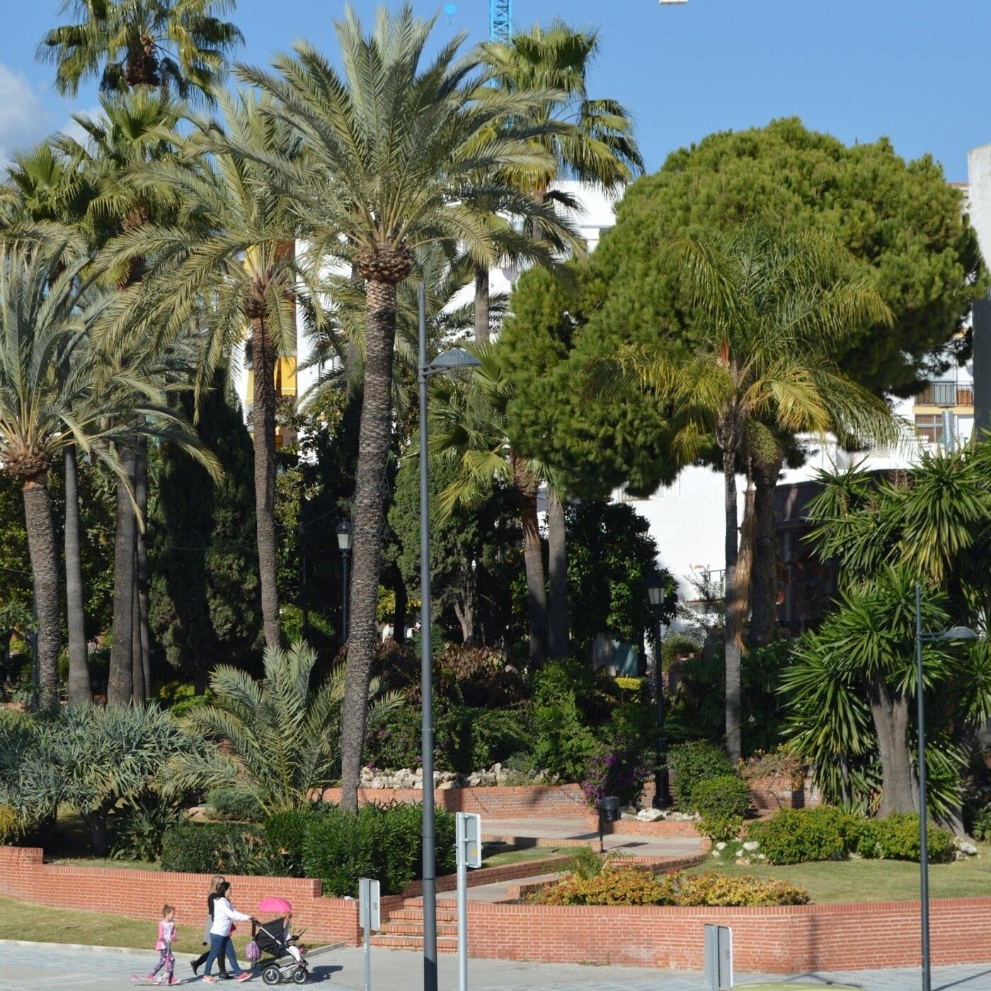 Crónicas de San Pedro Alcántara