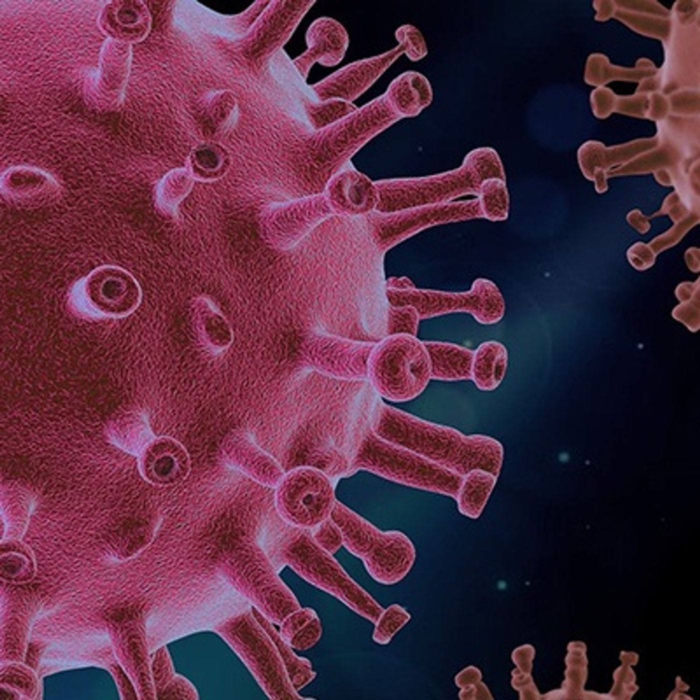 Plague Transmissions: A Pandemic Podcast cover art