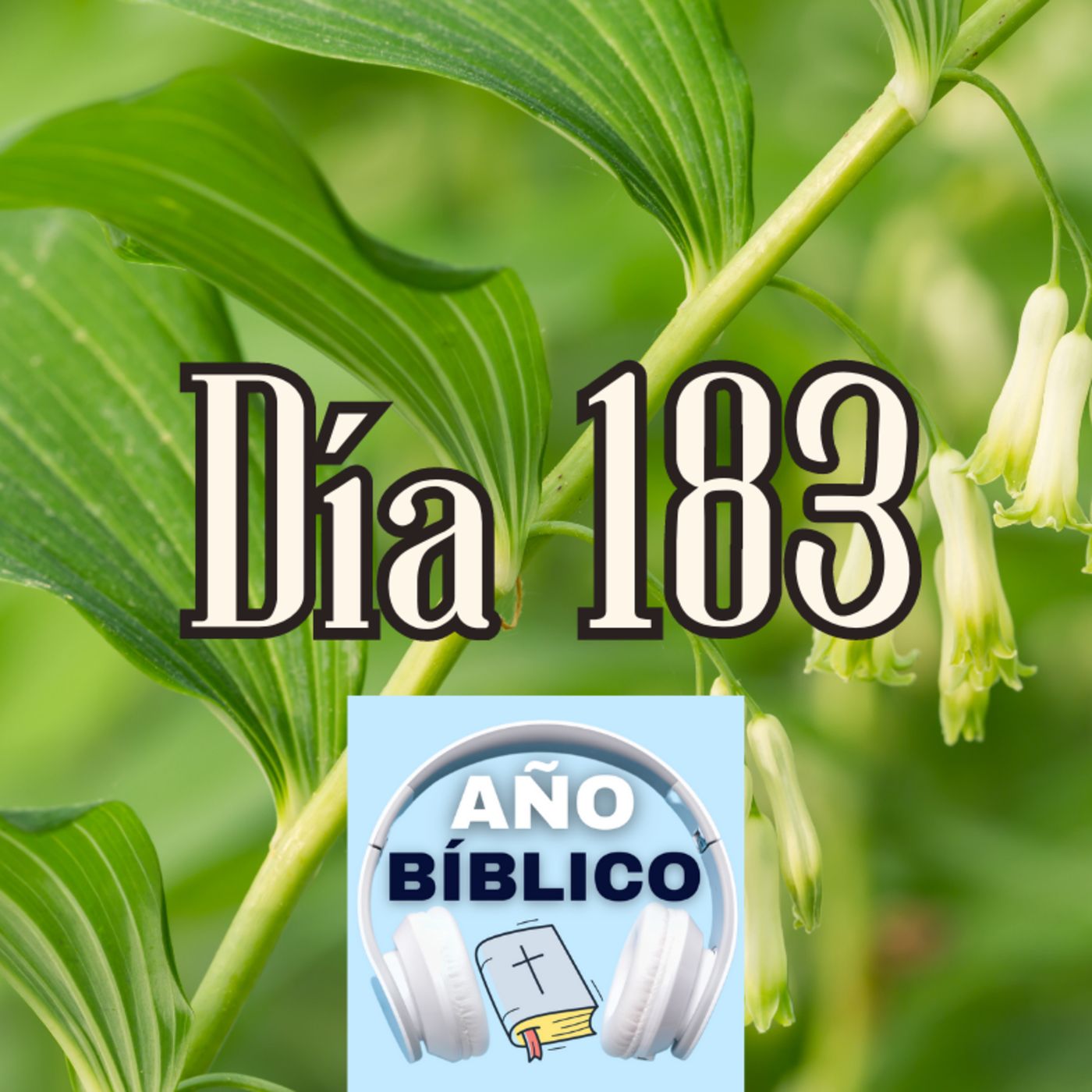 Día 183 - Salmos 78:9-16, 1 Crónicas 21:18-30; 1 Crónicas 22-23 y Romanos 6:1-11 episode artwork