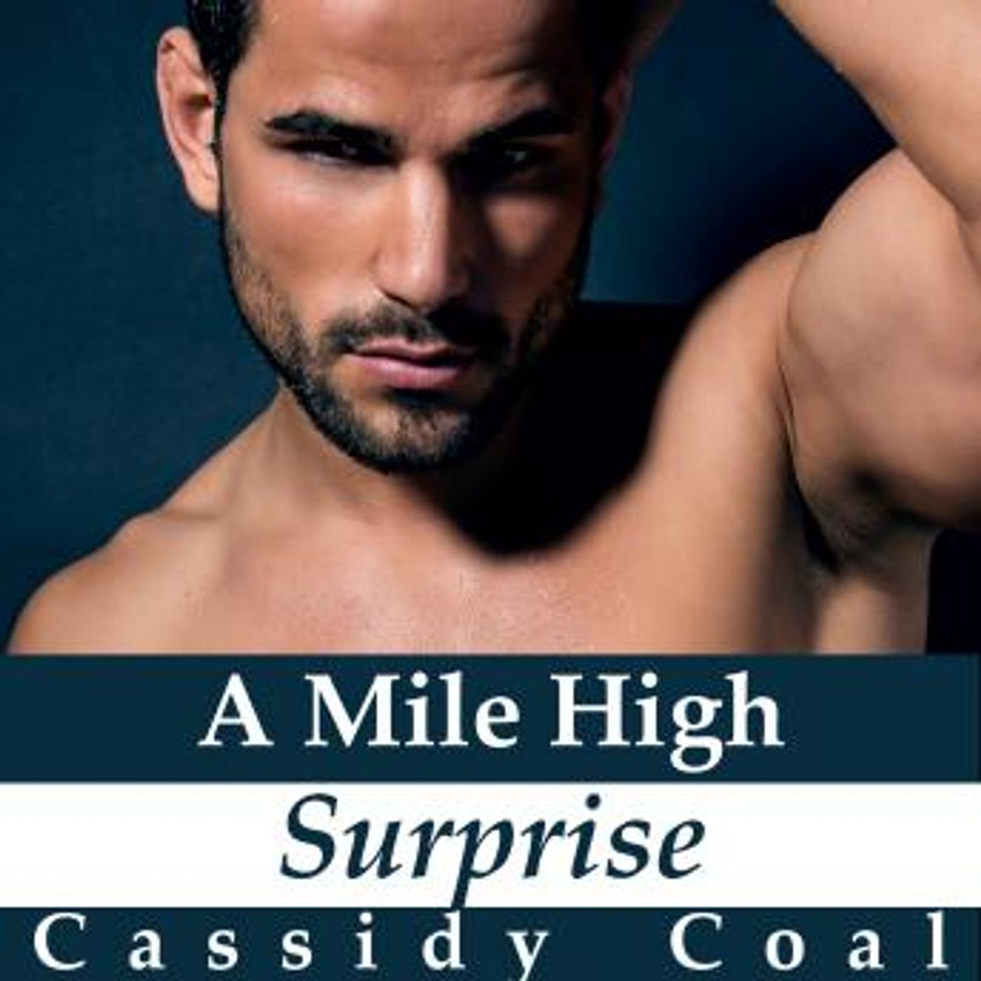 Download Incredible Full Audiobooks in Romance, Modern