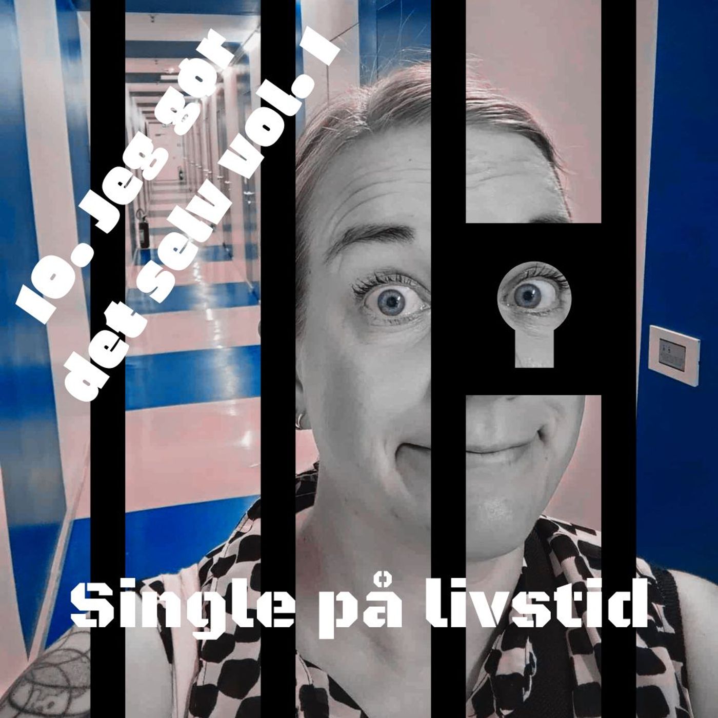 Jeg gør det selv vol. 1