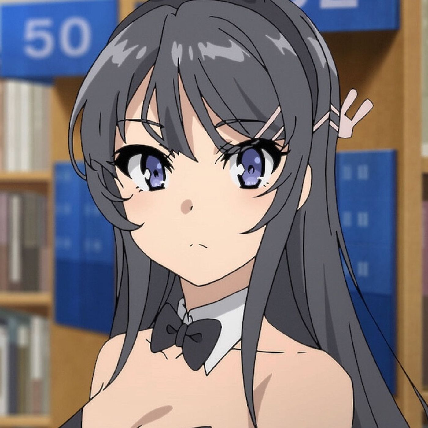 Rascal Does Not Dream of Bunny Girl Senpai - Season 1
