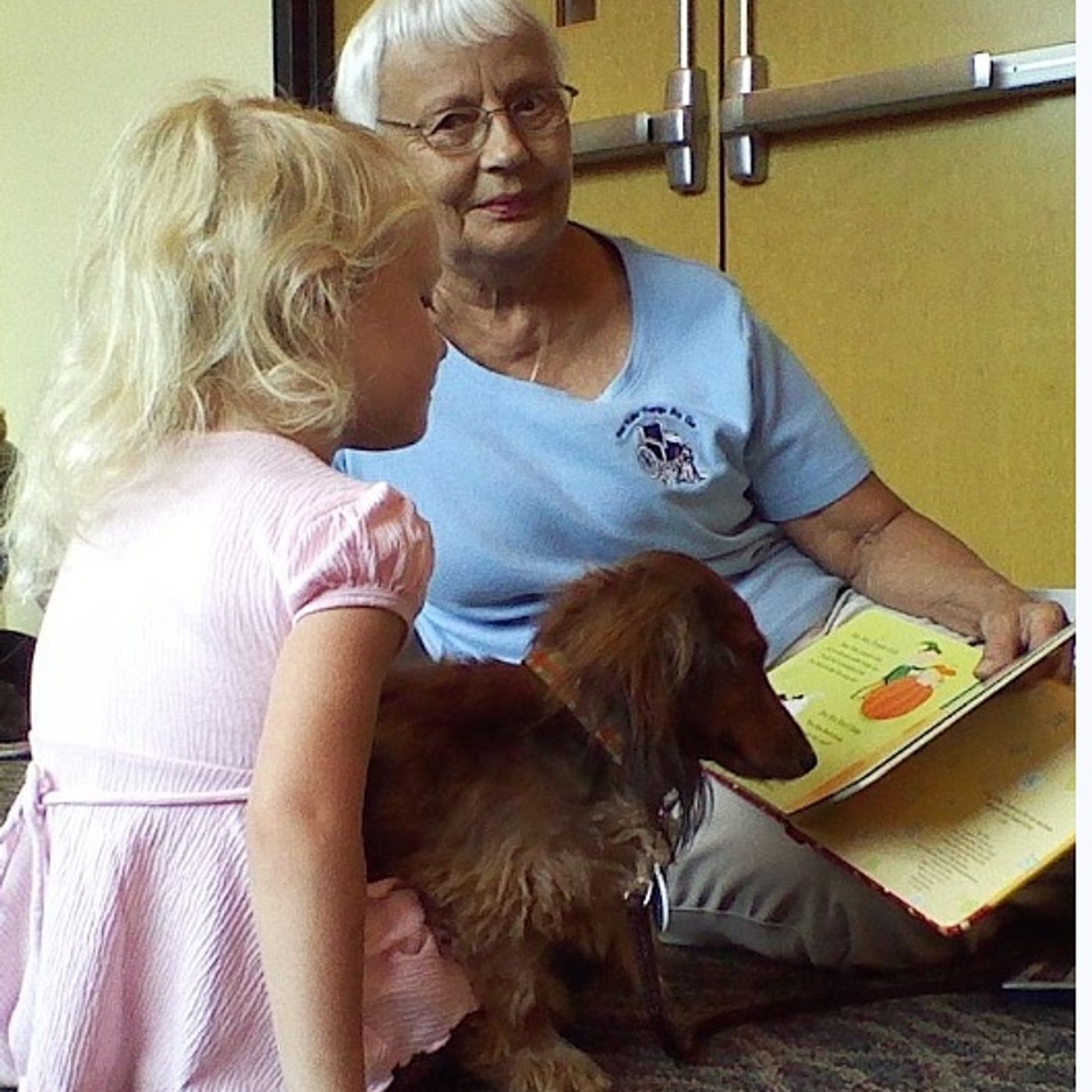 Yorkville Public Library youth programs feature LEGO days, Read with Paws and more