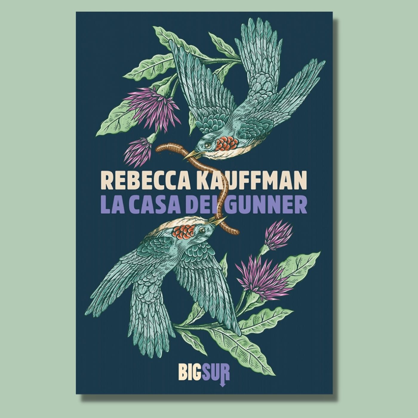 Cartoline dalle librerie
