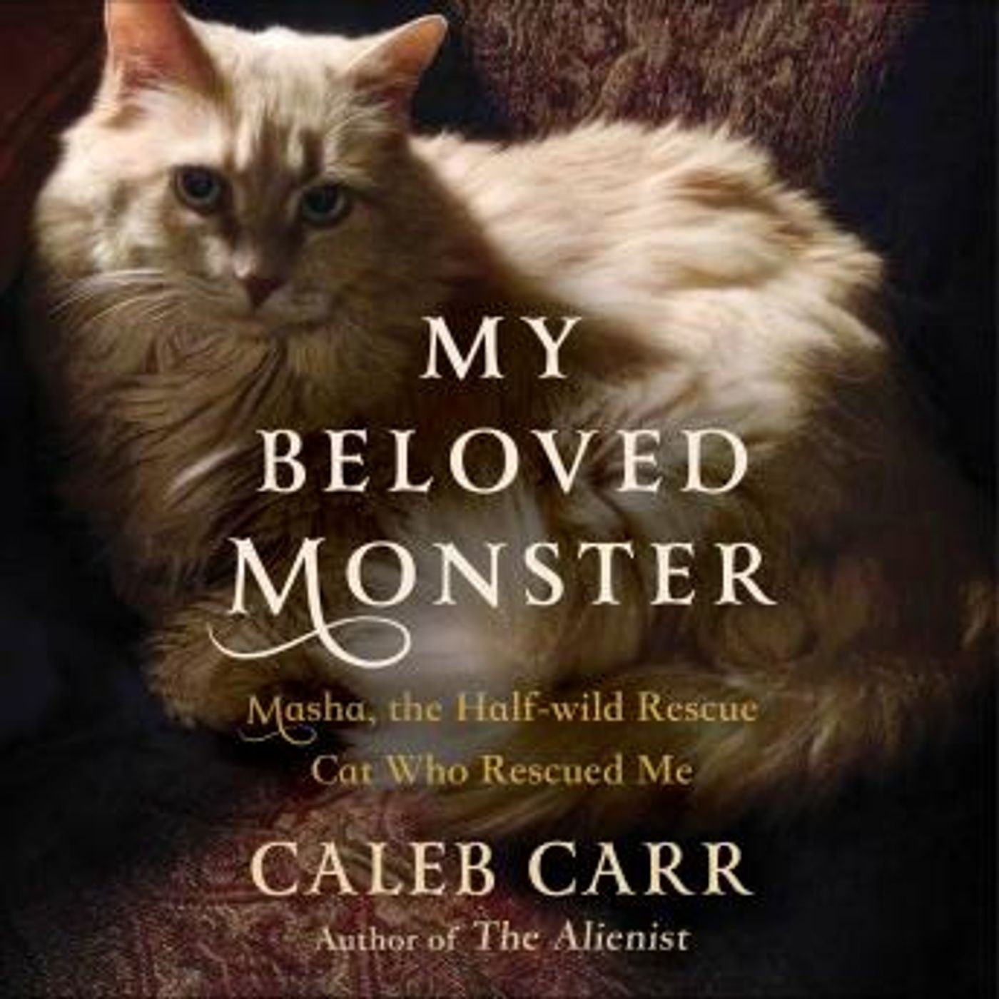 New Free Audiobooks in Biography & Memoir, Memoirs