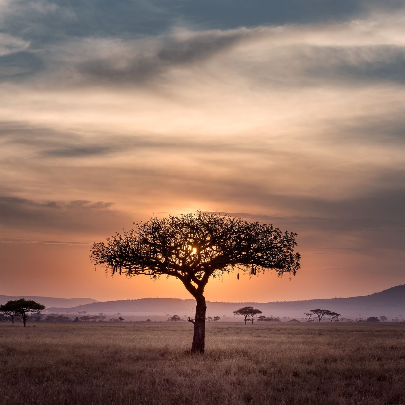 Swahili