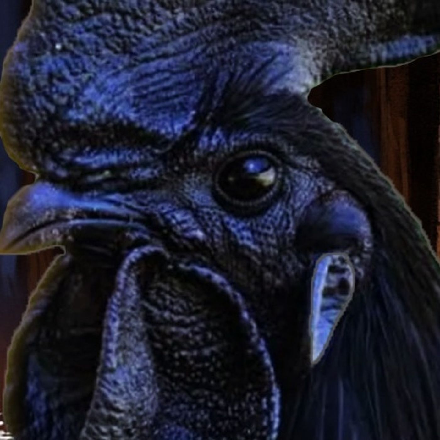 Caldo De Gallo Negro Historias De Terror - REDE