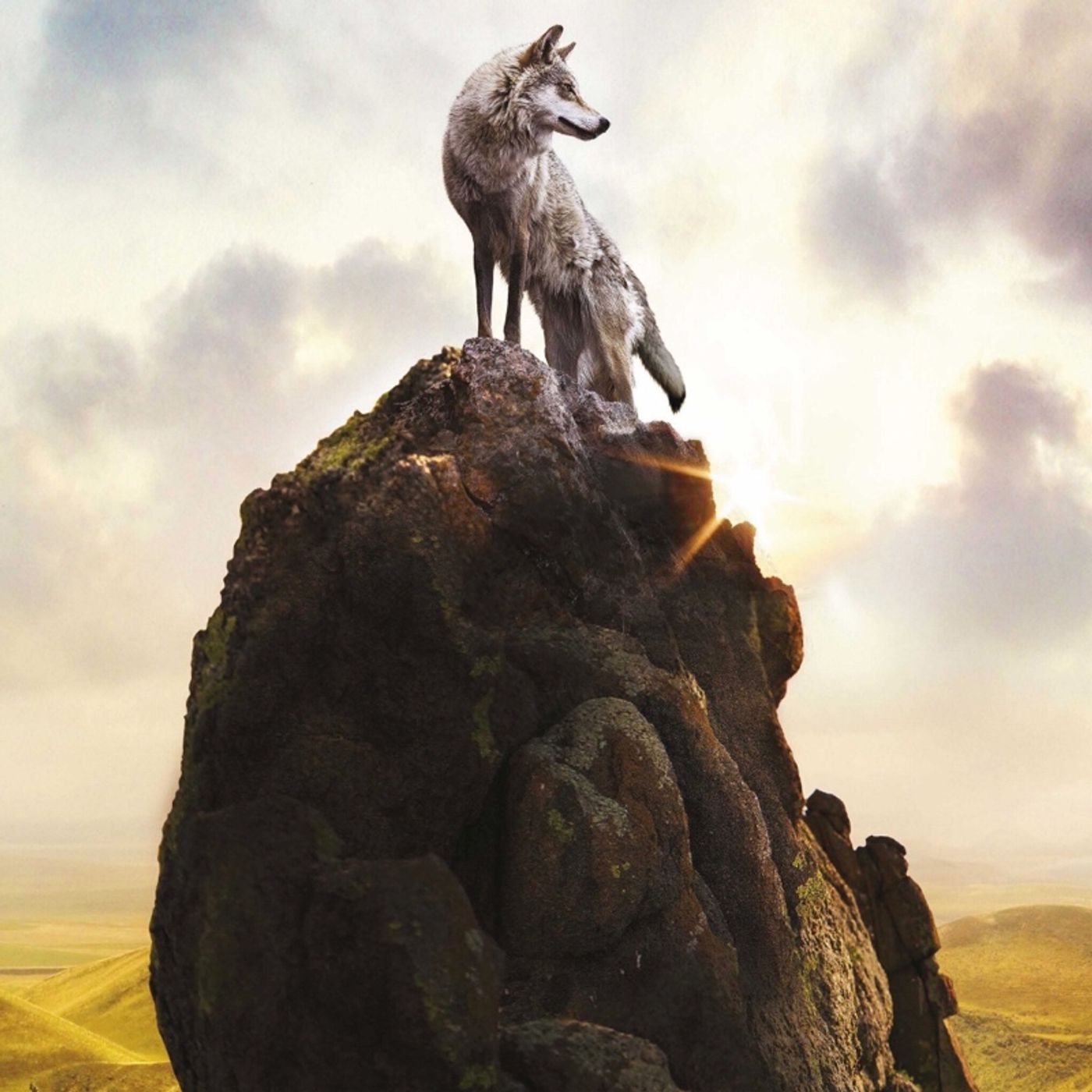 El show de Radio Wolf