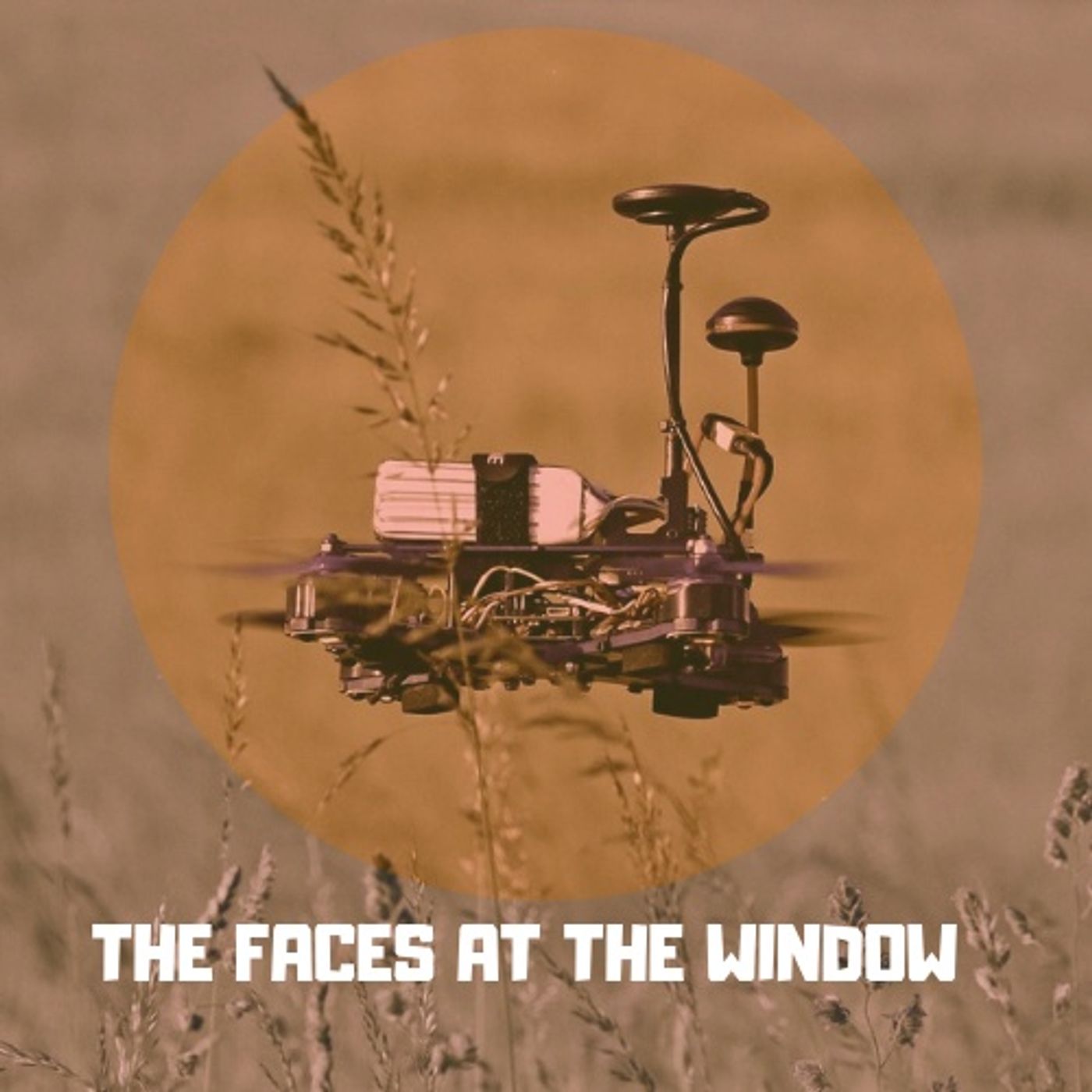The Faces At The Window