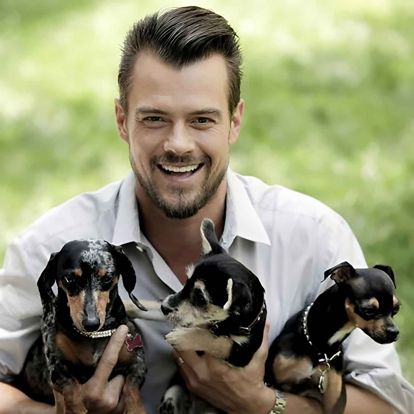 Fraudulent Service Dogs - 'Pets Only' Apartments - Actor Josh Duhamel Guests Fraudulent Service Dogs - 'Pets Only' Apartments - Actor Josh Duhamel Guests