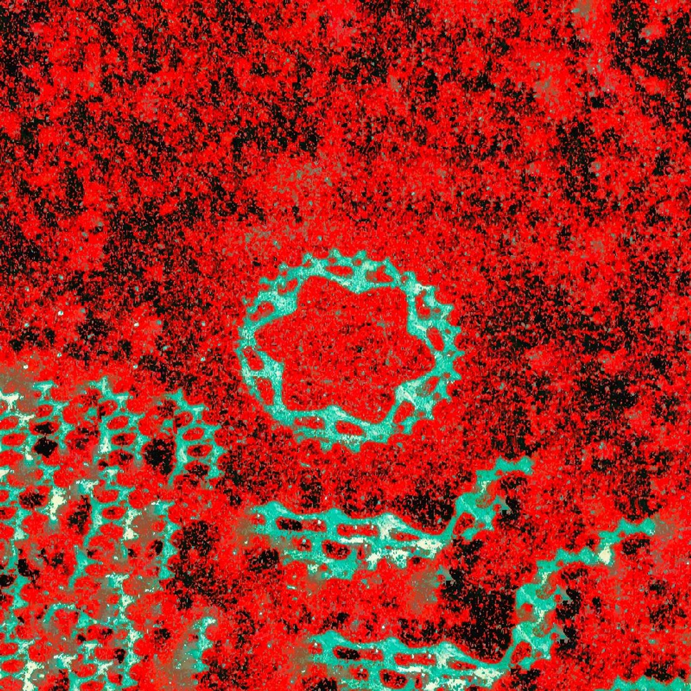 03 - Glimt i hverandre (Gibberish og poesi) episode artwork