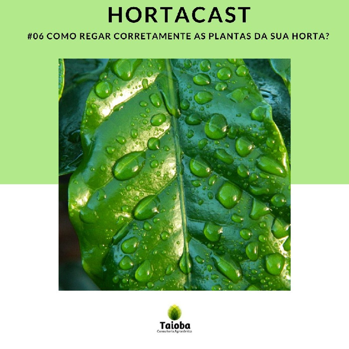 HortaCast\'s show