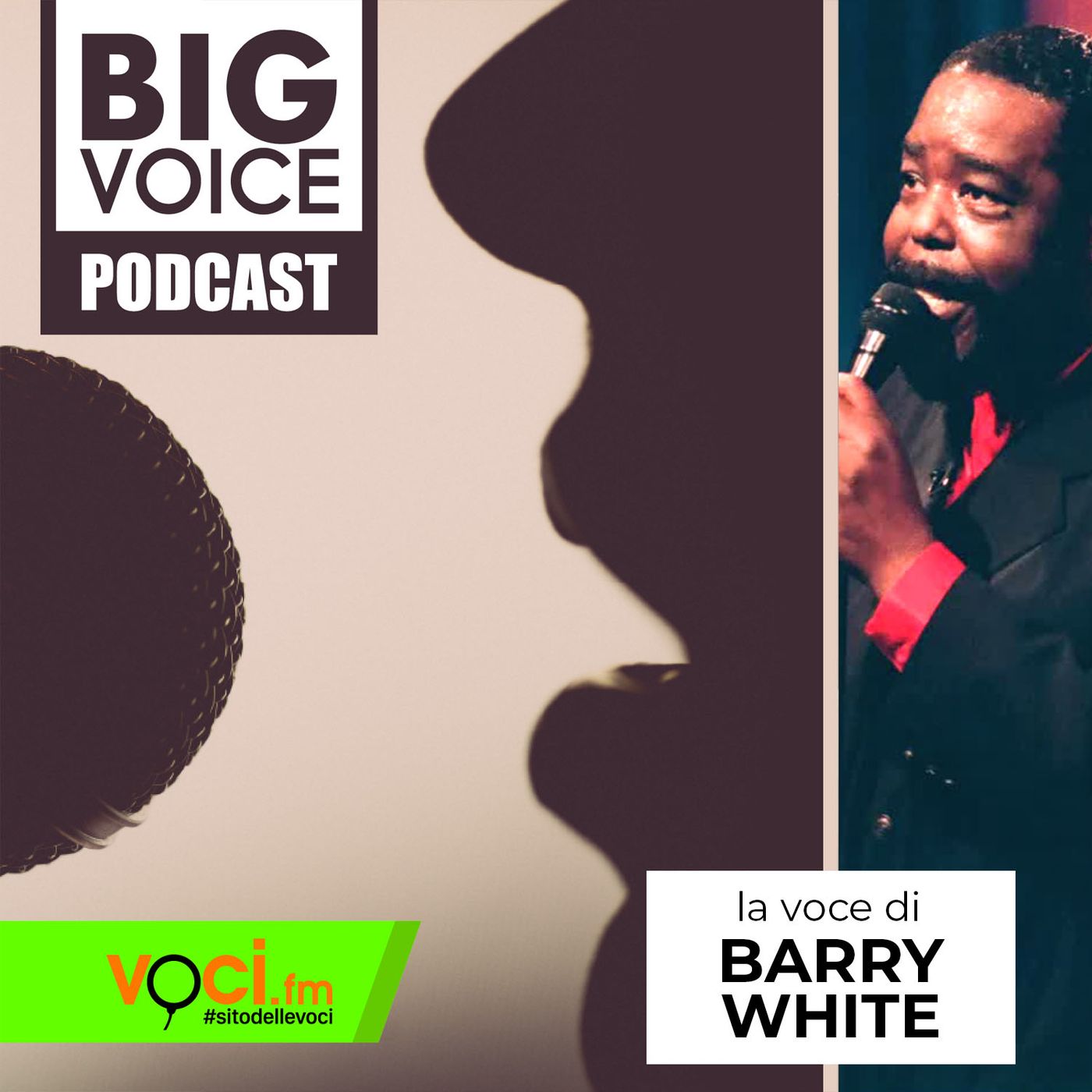 BIG VOICE PODCAST: Barry White - clicca play e ascolta il podcast episode artwork