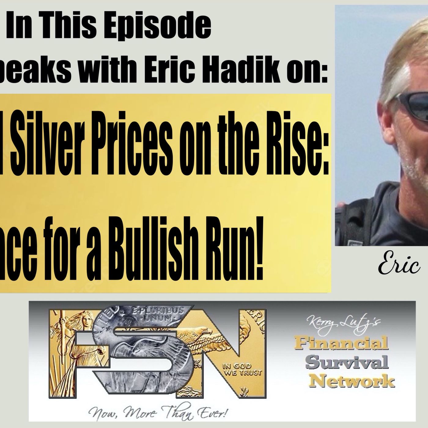 cover of episode Gold And Silver Prices On The Rise: Brace For A Bullish Run! -- Eric Hadik #6034