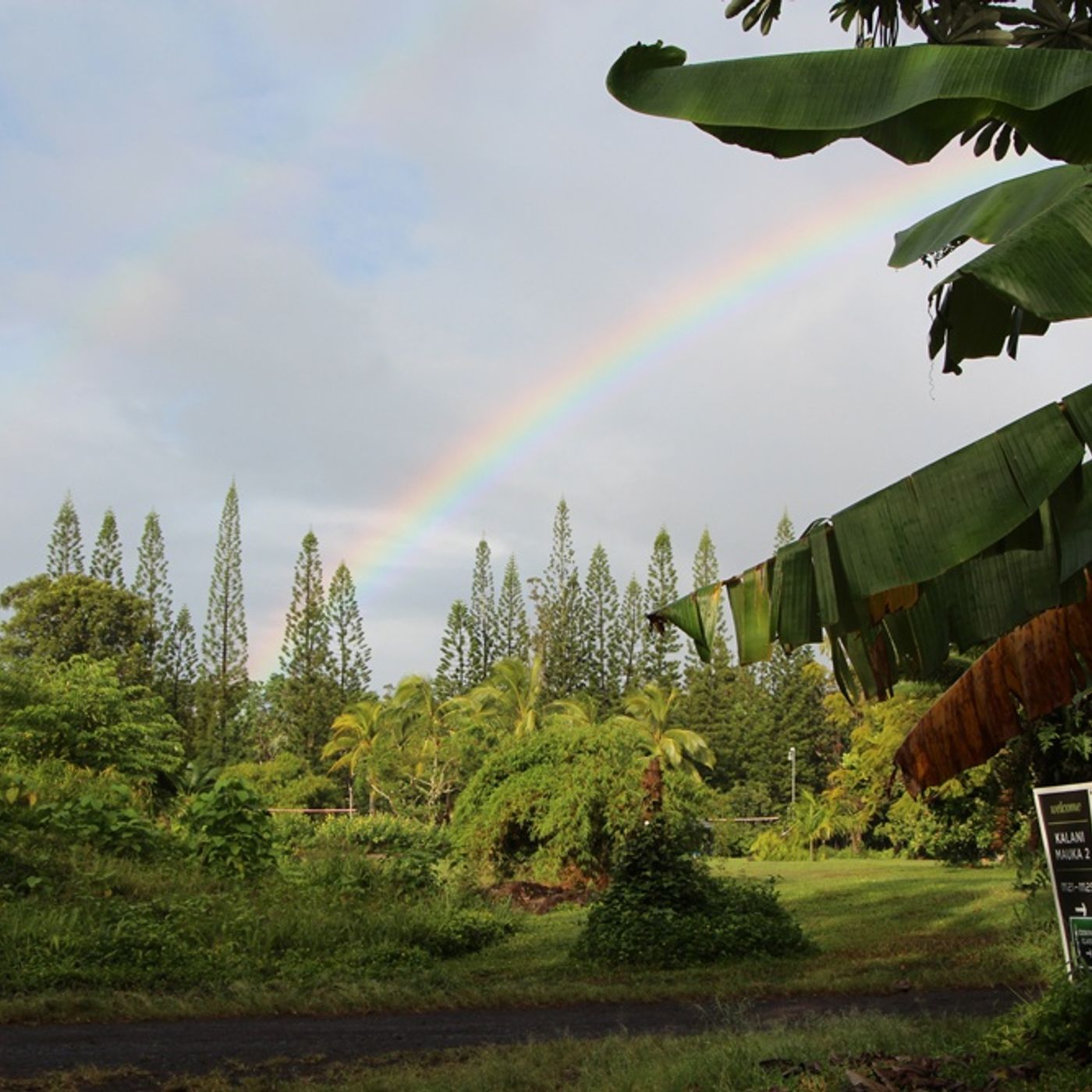 Travelin GDs: Hawaii, The Big Island episode artwork