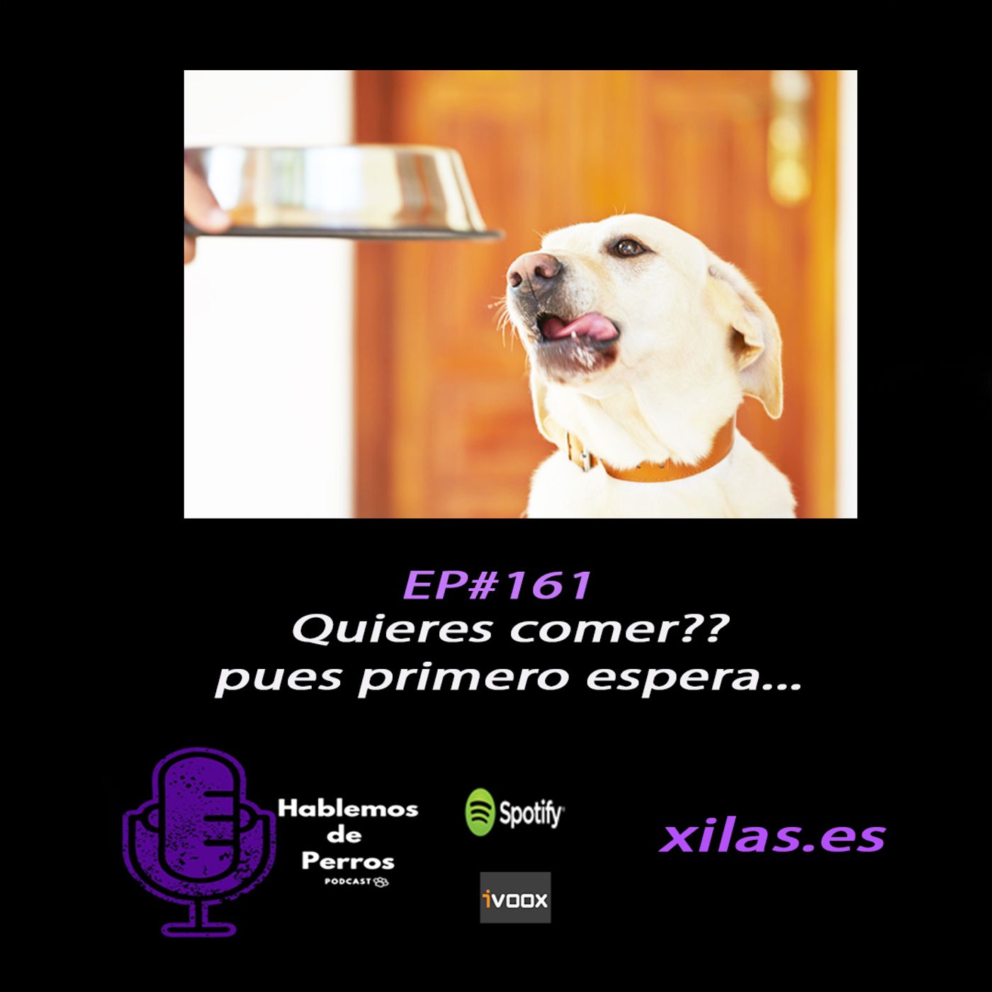 Hablemos de perros