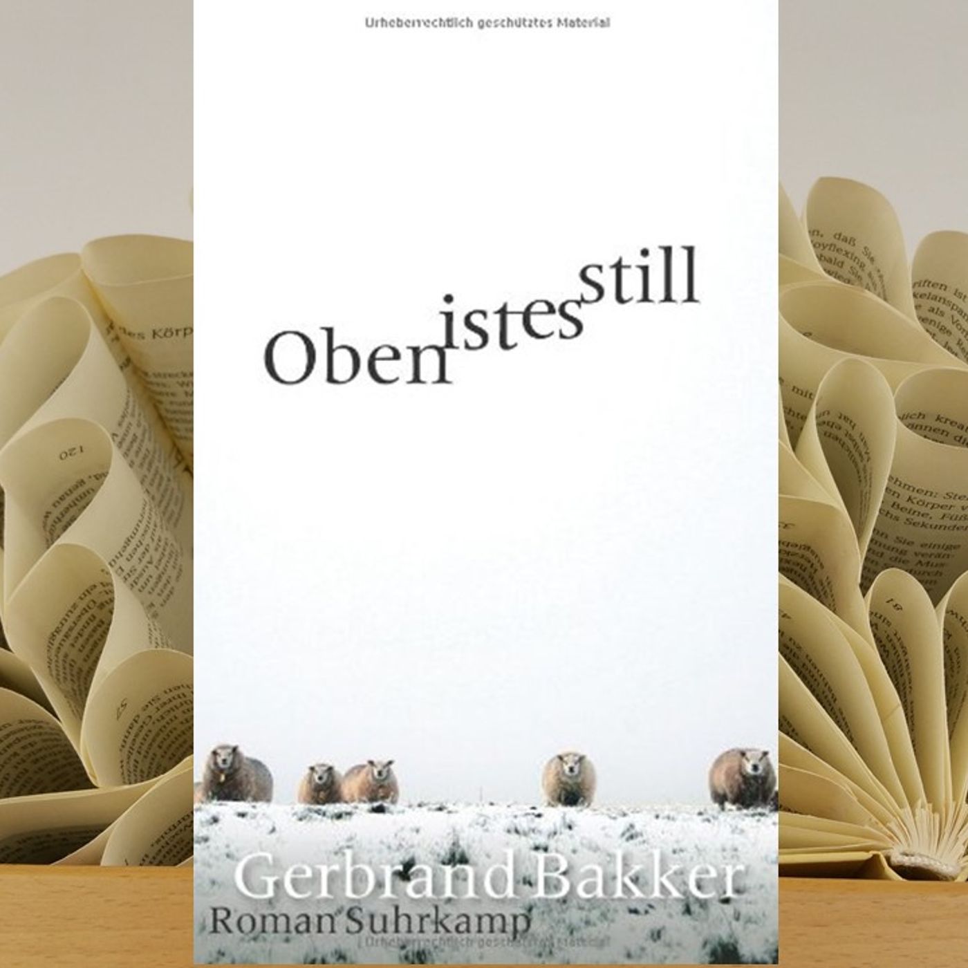 LesBar im Stern-Zimmer