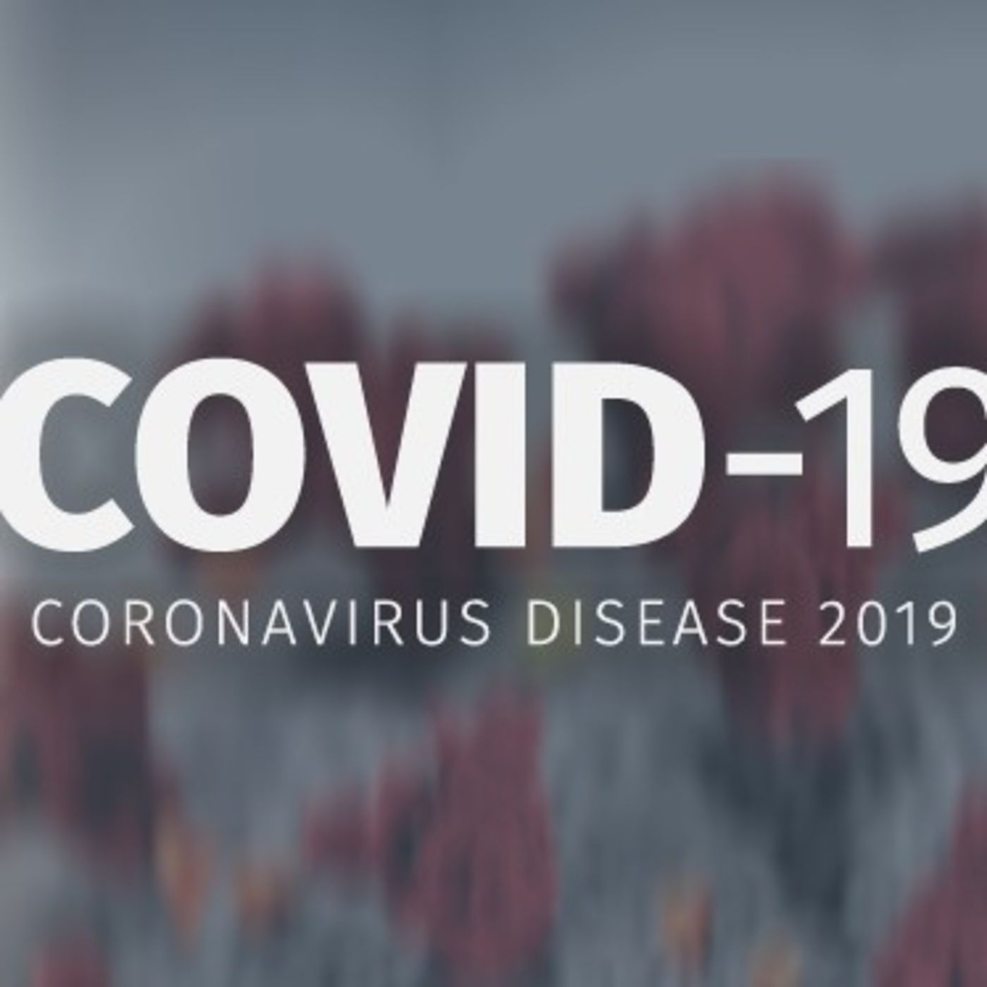 IS ESAU USING COVID 19 TO ATTACK ISRAELITES?